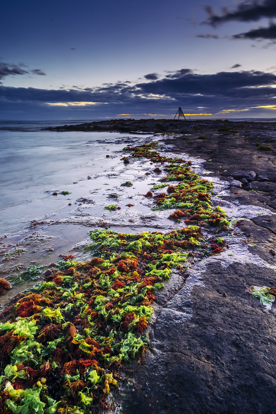 Nikon D810 sample photo. Beach photography