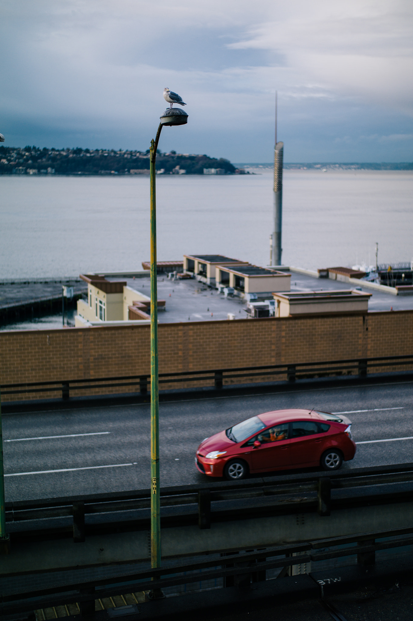 Leica M9 + Leica Summilux-M 50mm F1.4 ASPH sample photo. The seattle downtown photography