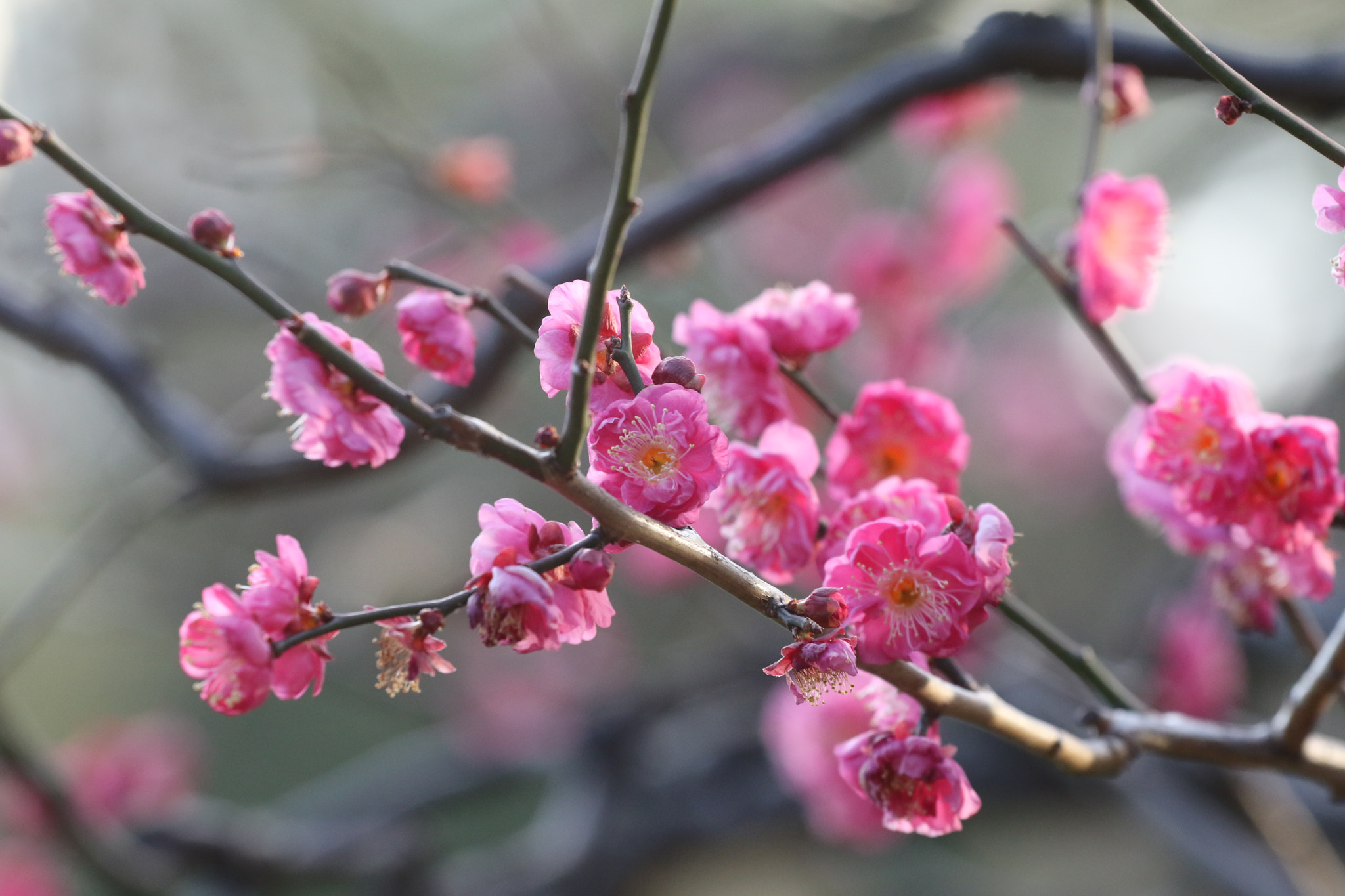 Canon EF 70-200mm F4L USM sample photo