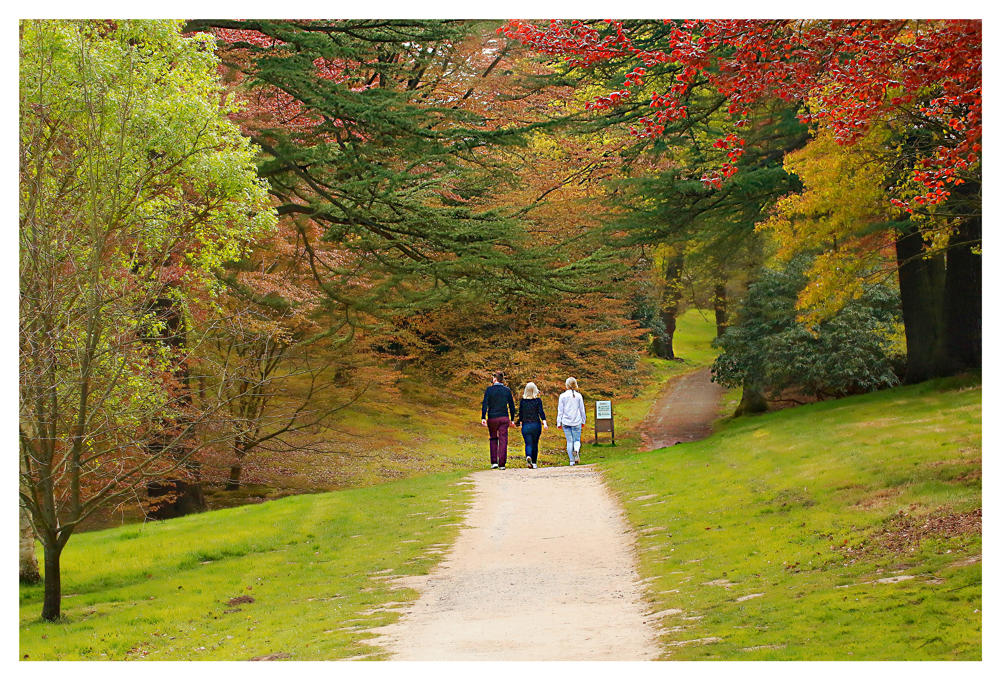 Canon EF 70-300mm F4-5.6L IS USM sample photo. Virginia water photography