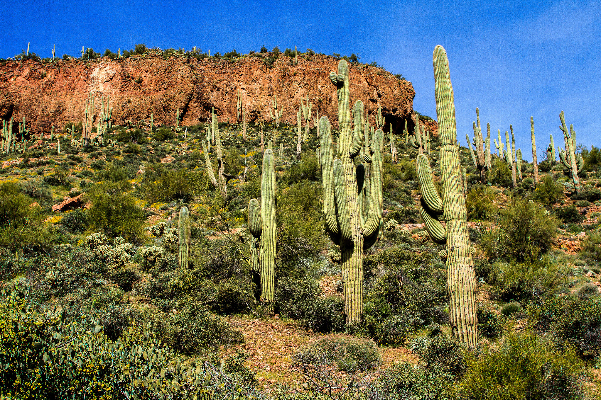 EF28-70mm f/2.8L USM sample photo. Tonto national monument photography