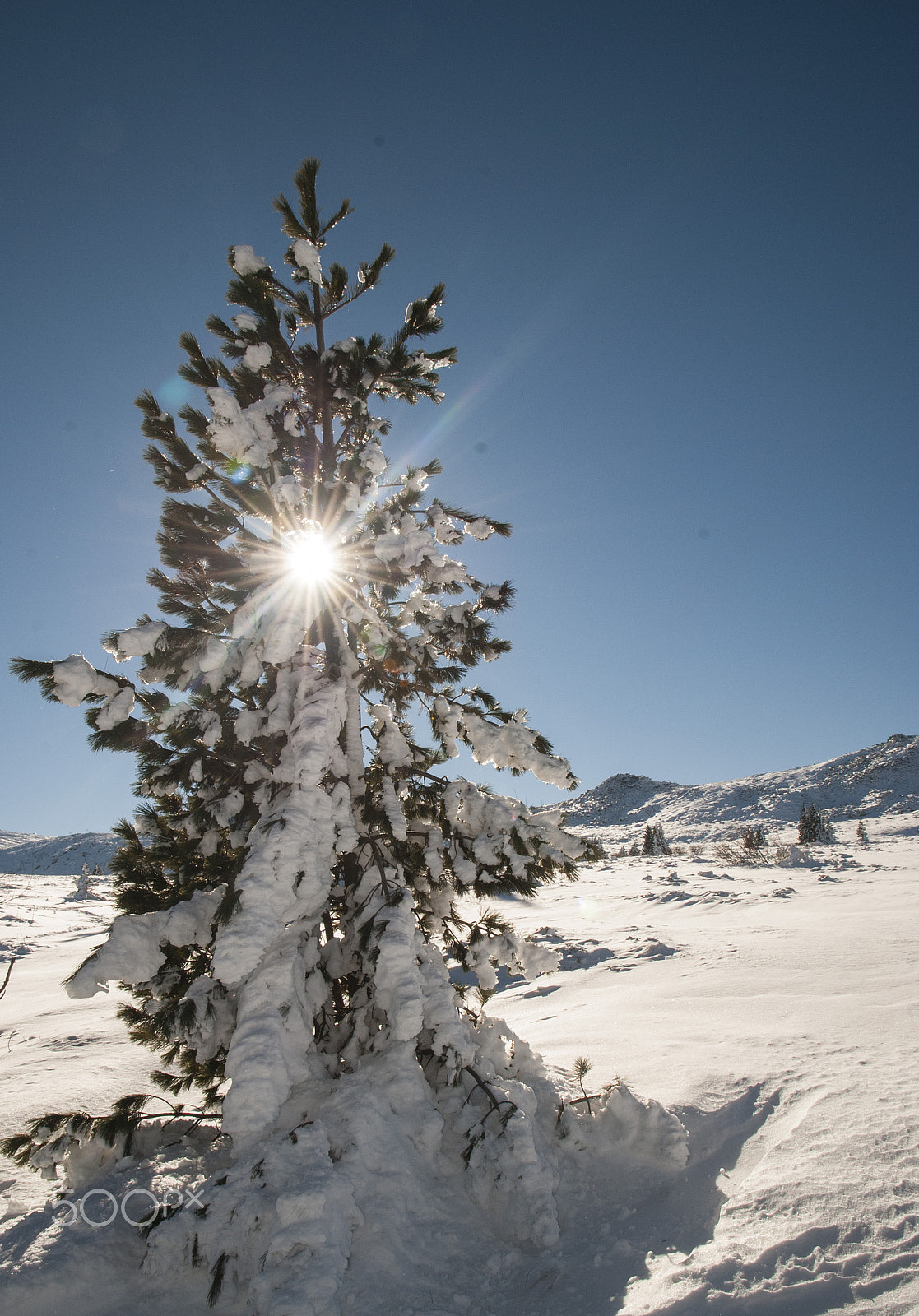 Nikon D80 sample photo. Snowly photography