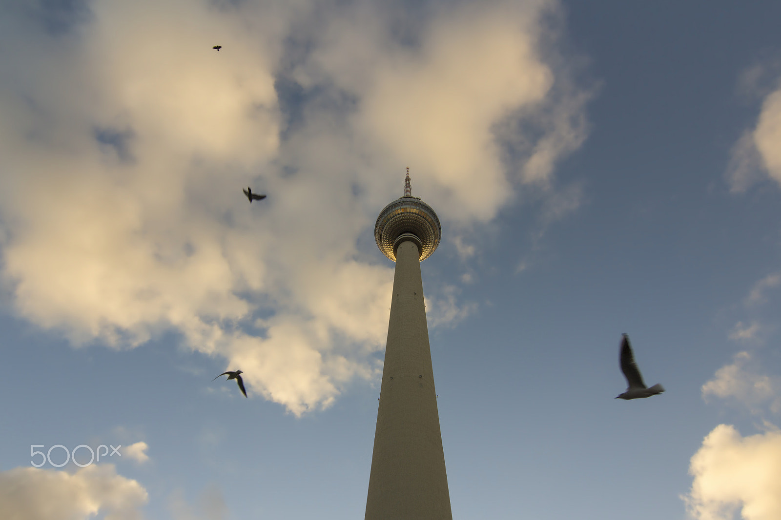 Canon EOS 1200D (EOS Rebel T5 / EOS Kiss X70 / EOS Hi) + Tokina AT-X 12-28mm F4 Pro DX sample photo. Tv tower or fernsehturm with birds at sunset, berlin, germany photography