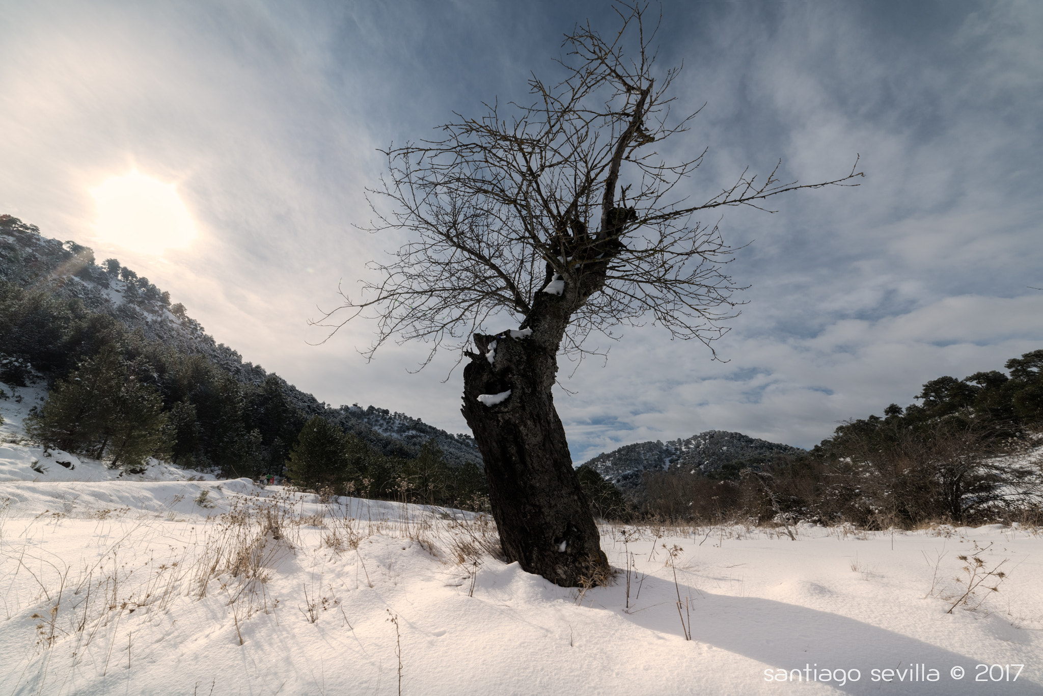 Samyang 14mm F2.8 ED AS IF UMC sample photo. Paterna de madera photography