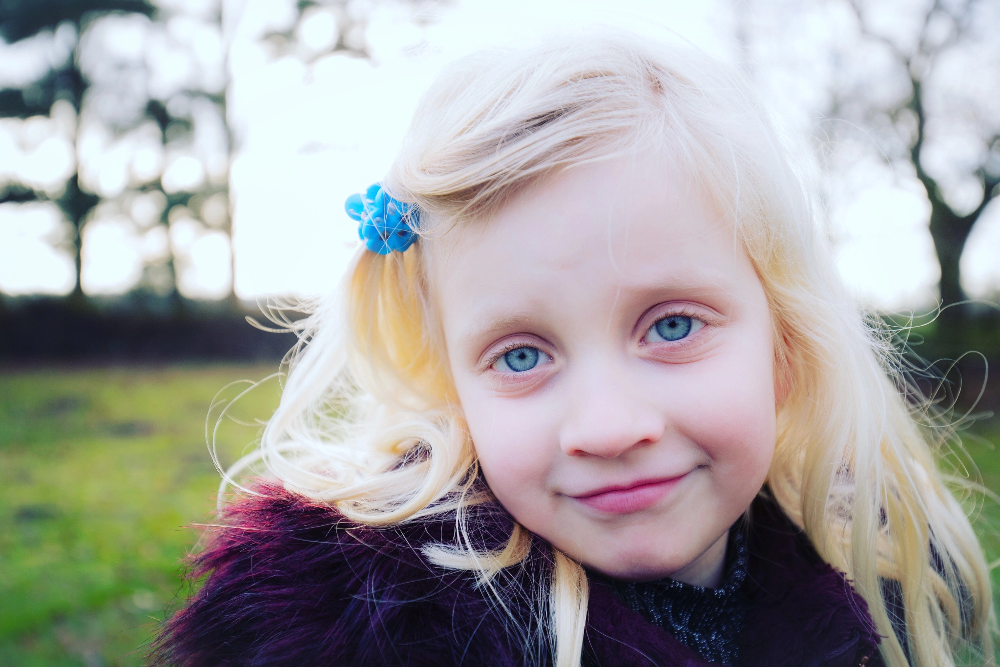 Canon EF 16-35mm F4L IS USM sample photo. Bills aka lilly photography