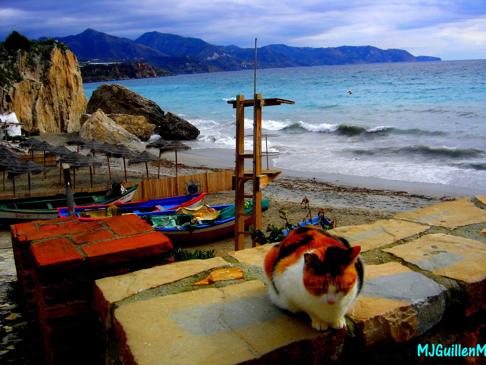 Sony DSC-P93A sample photo. Nerja invierno y gato photography