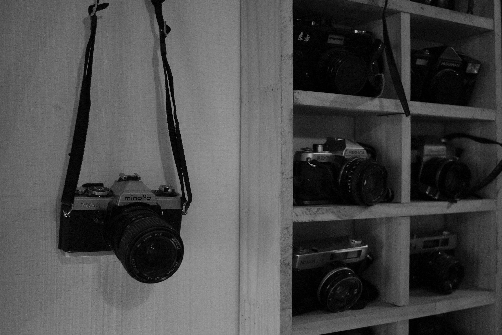 Canon EF-S 24mm F2.8 STM sample photo