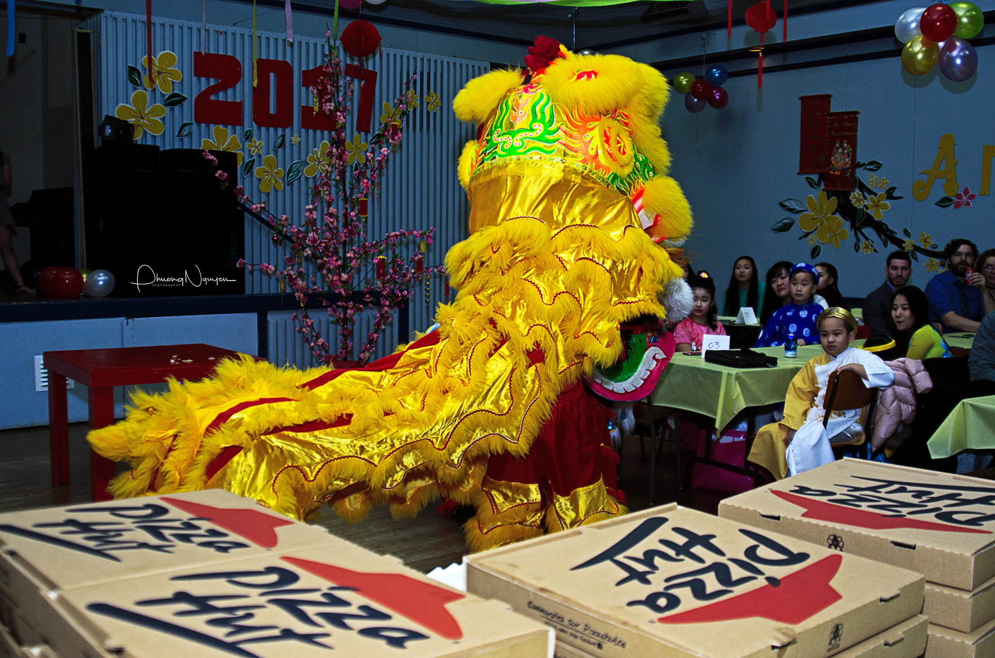 Nikon AF Nikkor 24-85mm F2.8-4D IF sample photo. Vietnamese new year 2017 photography