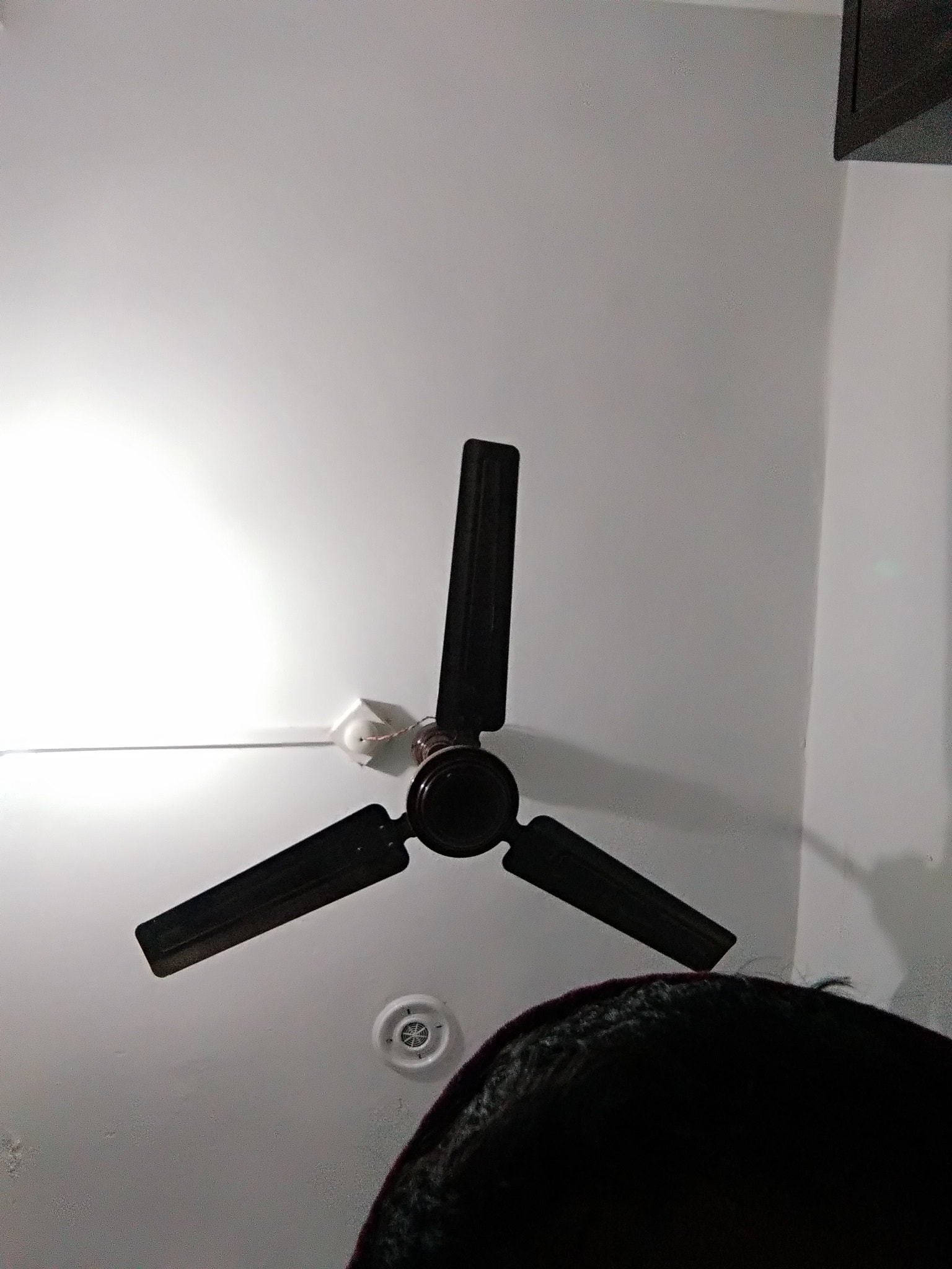 vivo Y55A sample photo