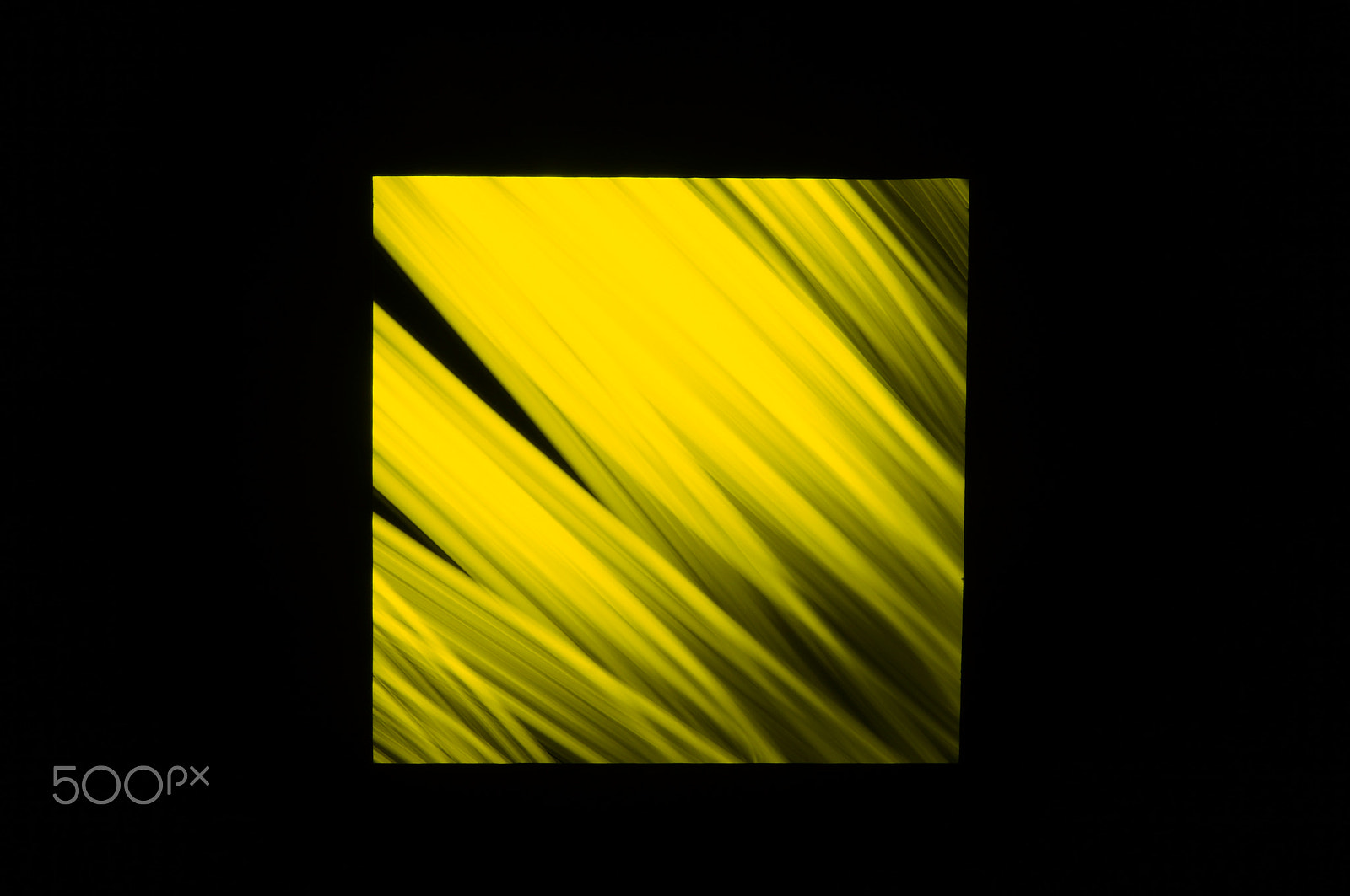 Sony Planar T* 50mm F1.4 ZA SSM sample photo. Yellow square photography