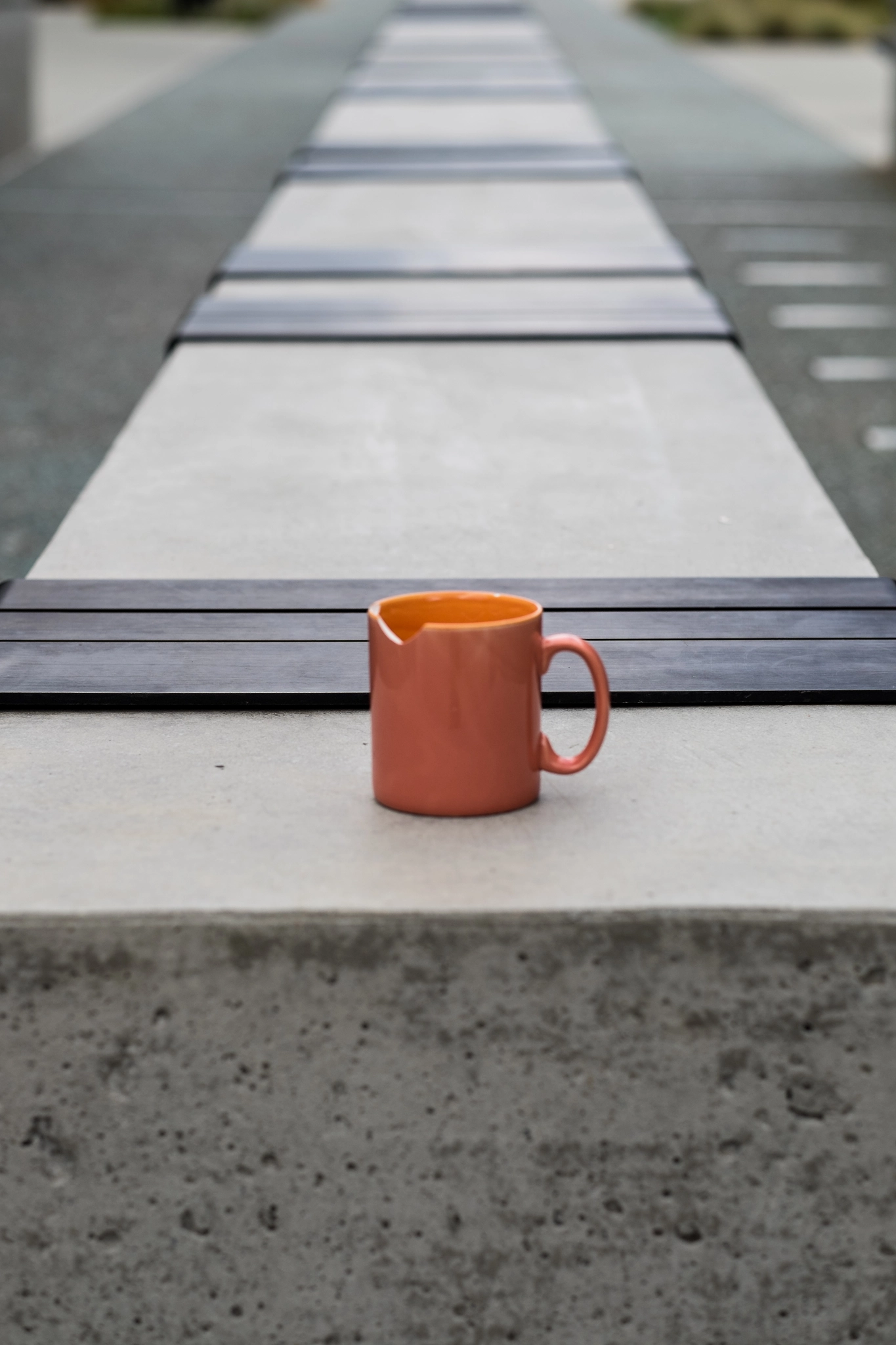 Fujifilm XF 56mm F1.2 R sample photo. Chip photography