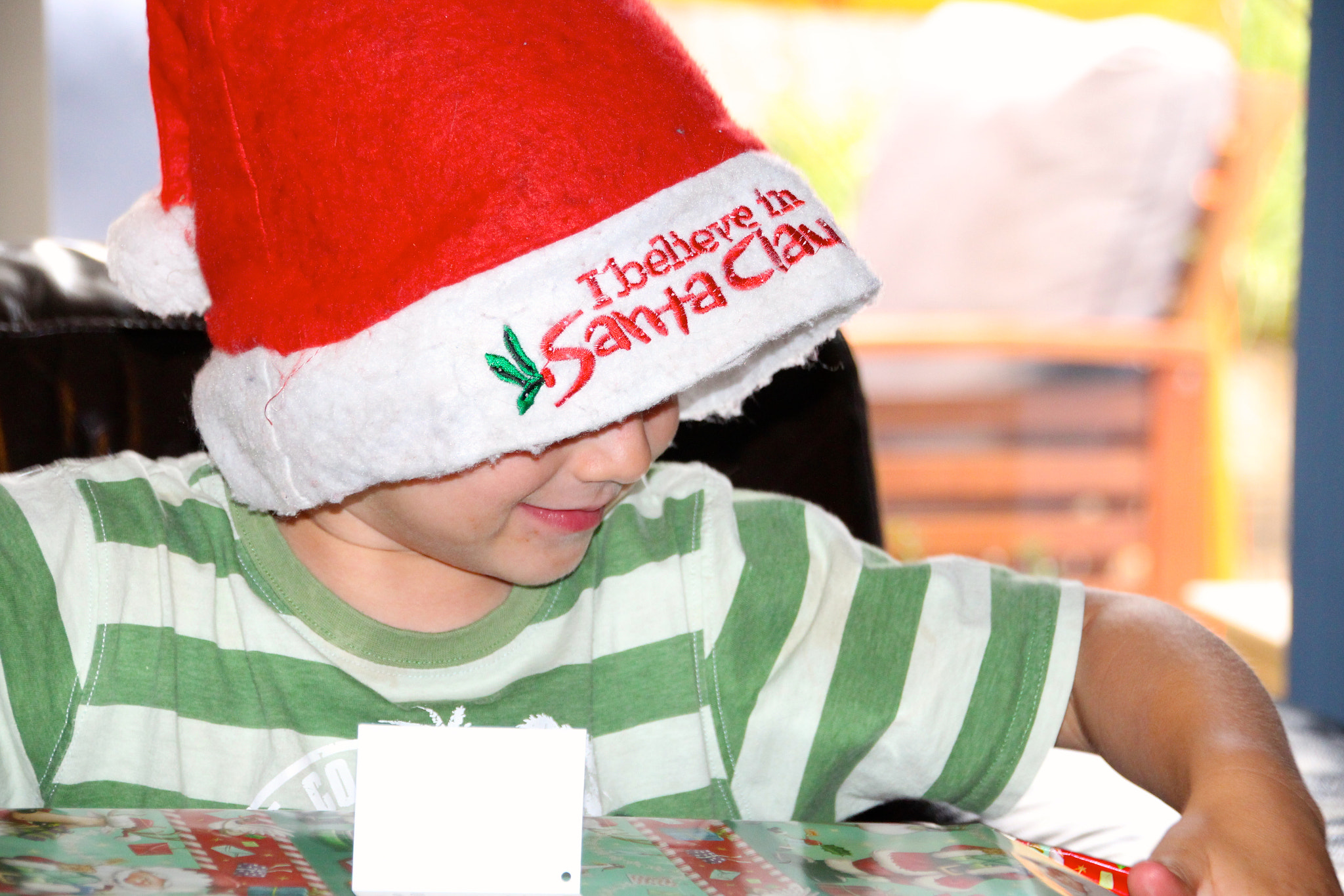 Sigma 18-250mm F3.5-6.3 DC OS HSM sample photo. Christmas photography