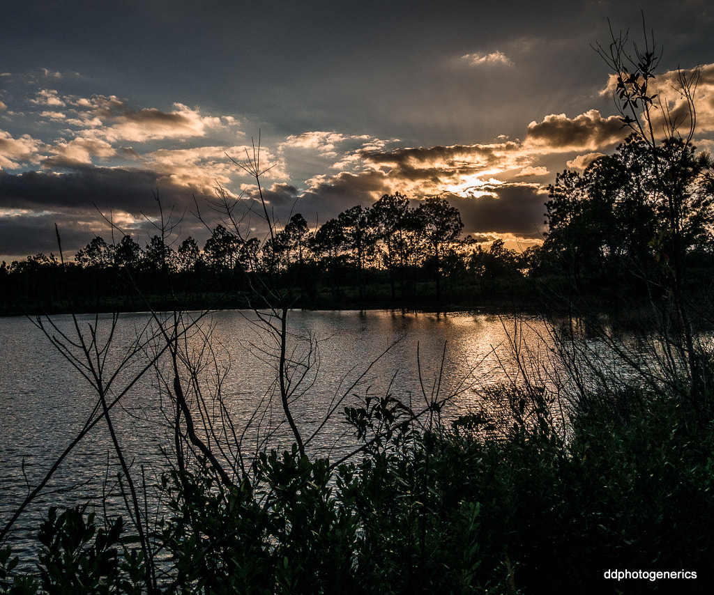 Olympus M.Zuiko Digital 14-42mm F3.5-5.6 II R sample photo. Forest lake sunset... photography