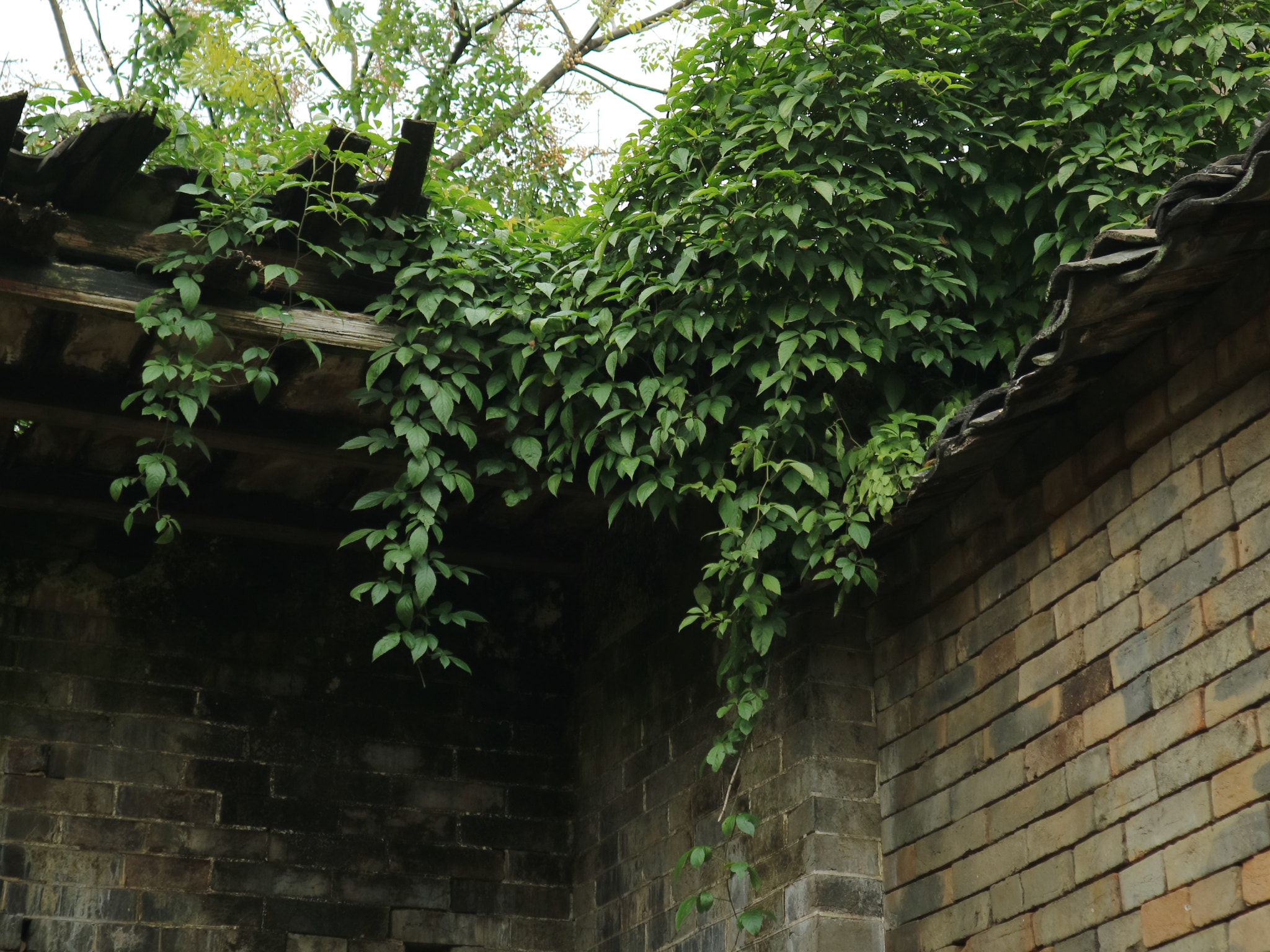 Canon EOS M3 sample photo