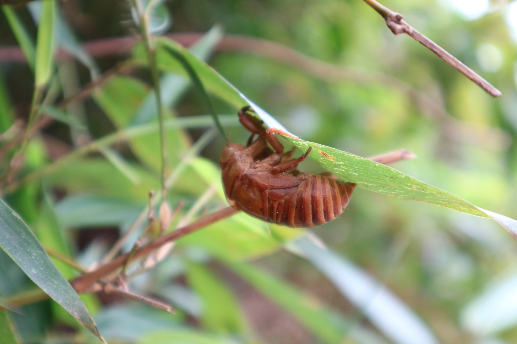 Canon EOS M3 sample photo