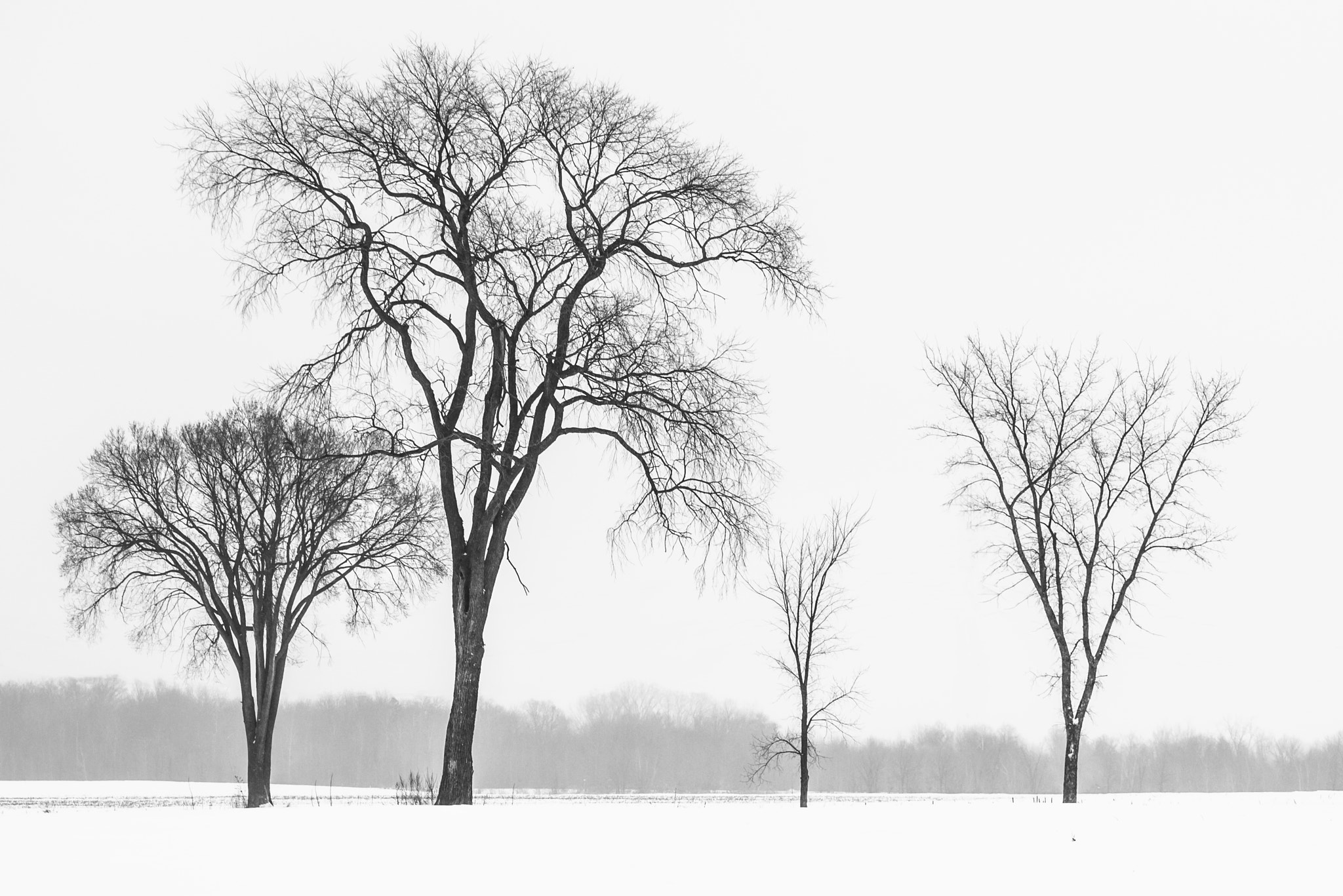 Nikon D800 sample photo. Winter 2 photography