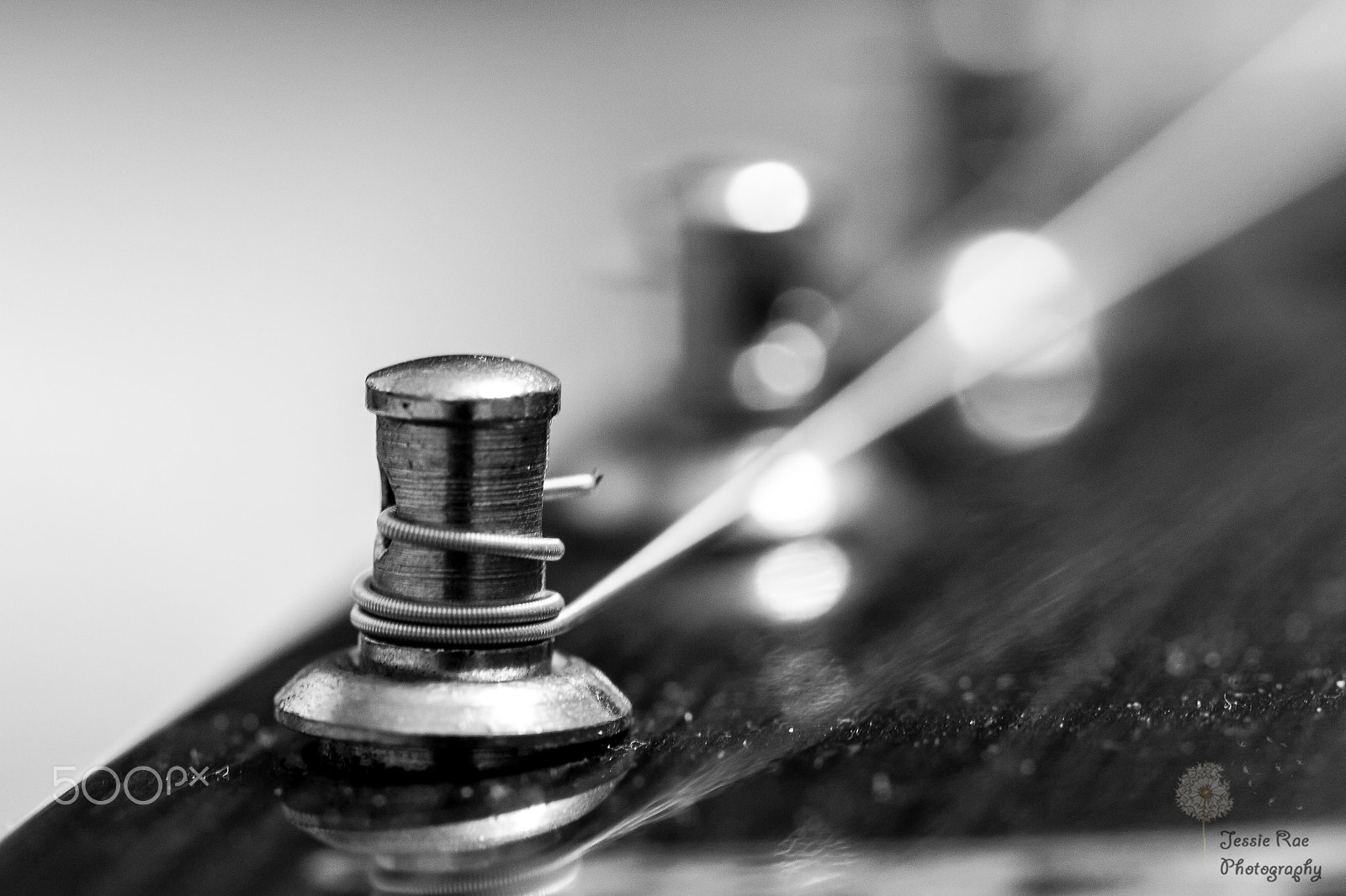 Canon EF 100mm F2.8L Macro IS USM sample photo. Guitar black/white photography