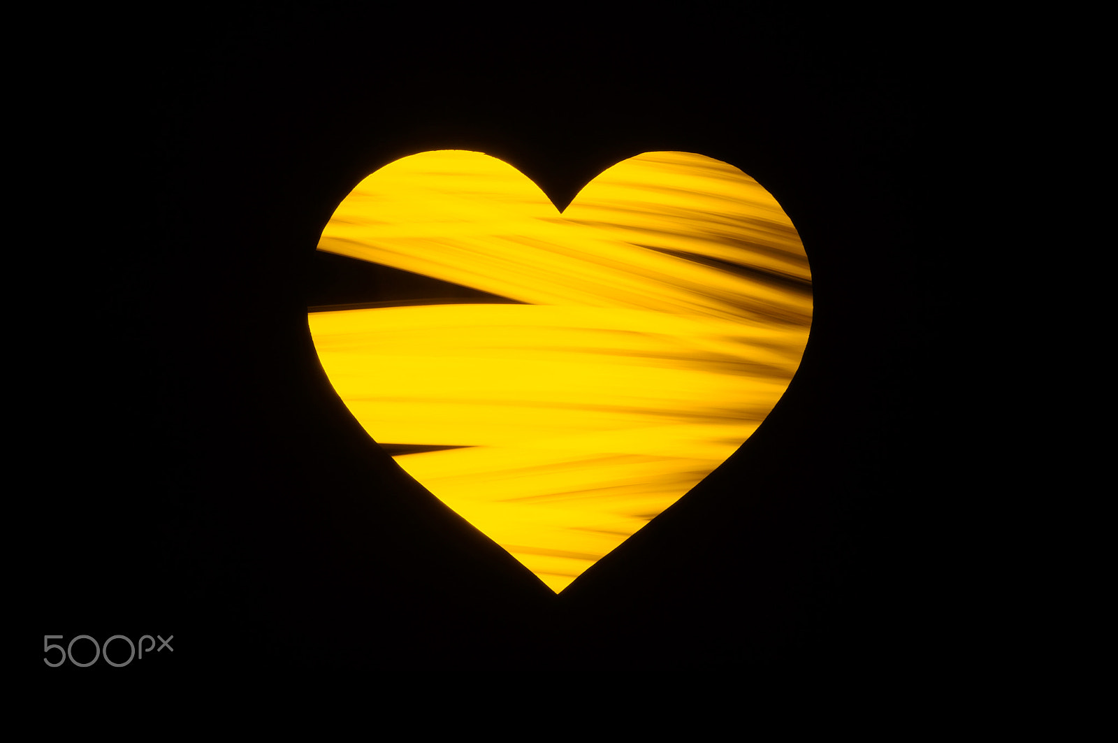 Sony Planar T* 50mm F1.4 ZA SSM sample photo. Yellow heart photography