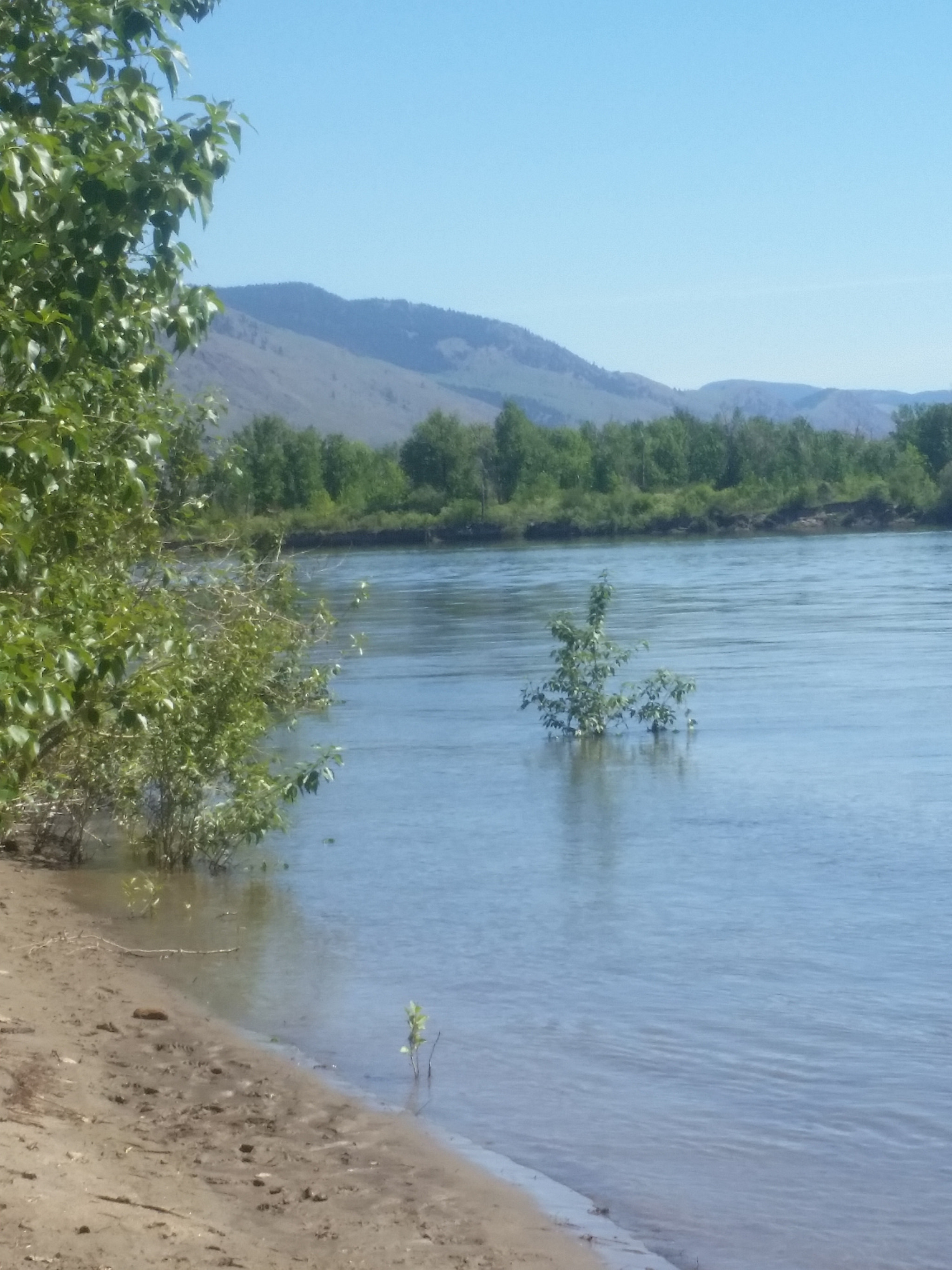 Samsung Galaxy S5 Active sample photo. By the river in summer photography