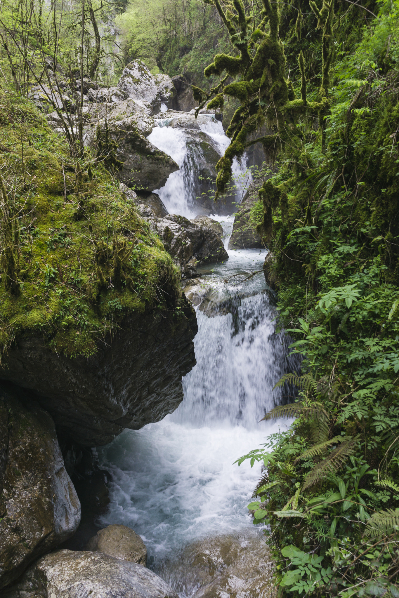 Sony E 20mm F2.8 sample photo. Gorges de kakuetta photography