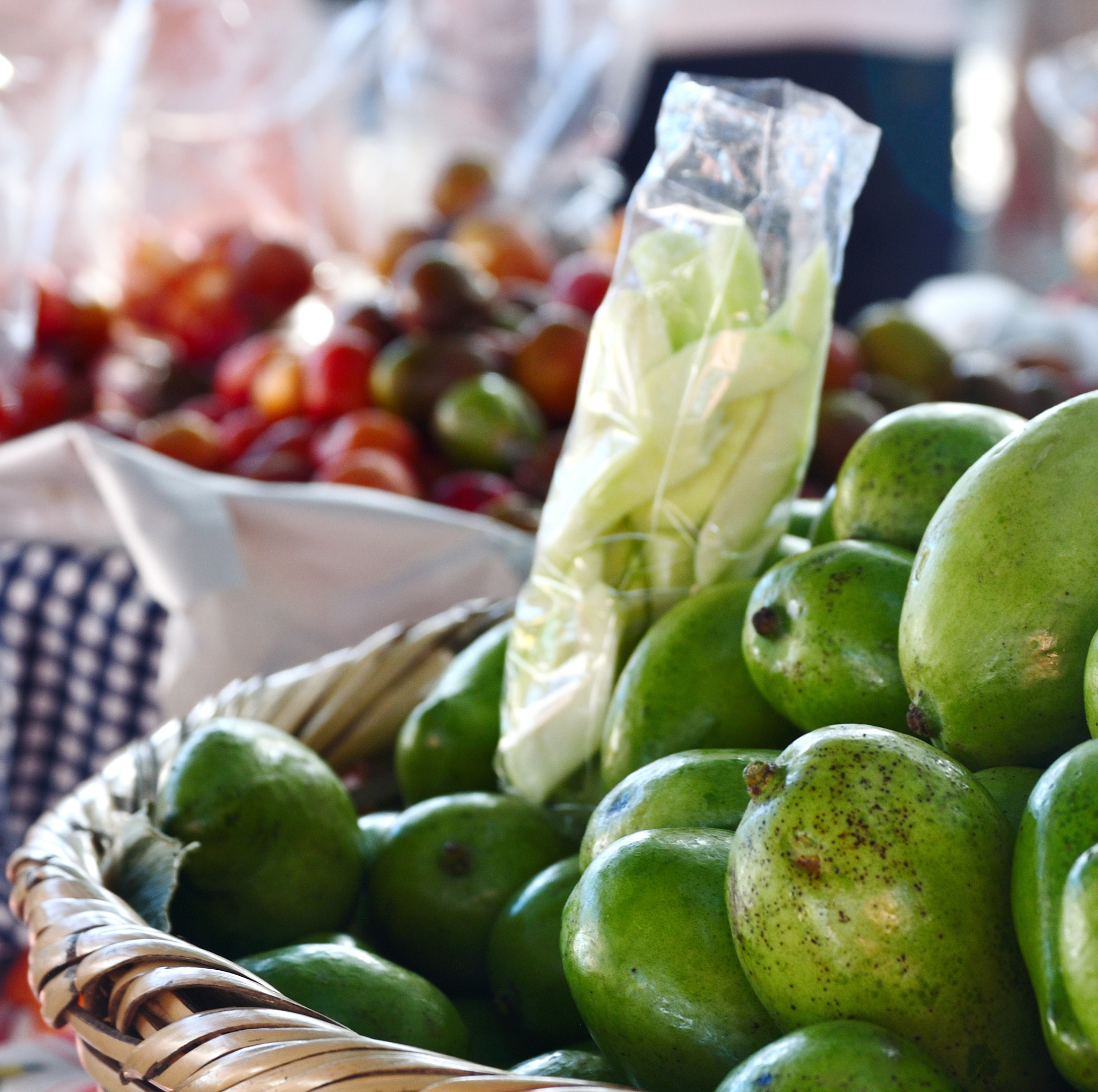 Nikon D5000 sample photo. Mango verde photography