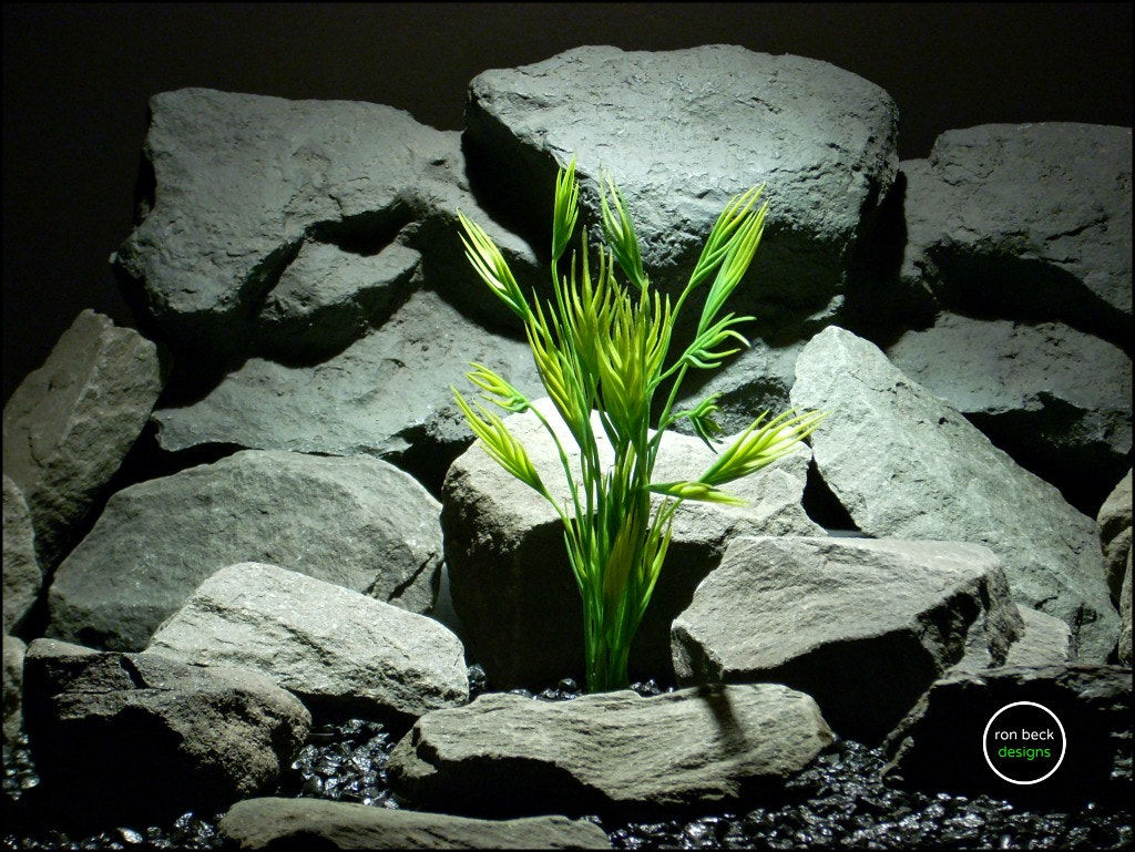 Nikon COOLPIX L11 sample photo. Plastic aquarium plant mermaid grassfrom ron beck designs photography