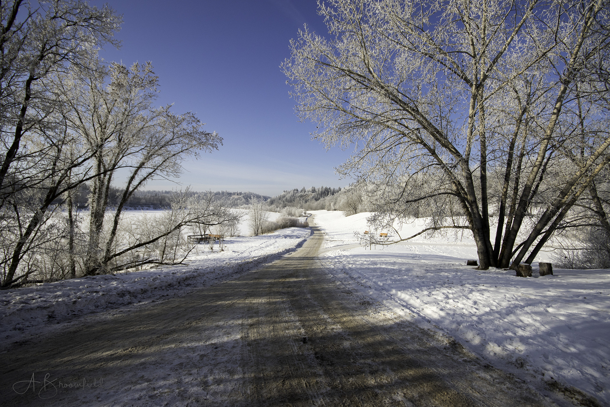 Sigma 10-20mm F4-5.6 EX DC HSM sample photo. Edmonton river valley photography