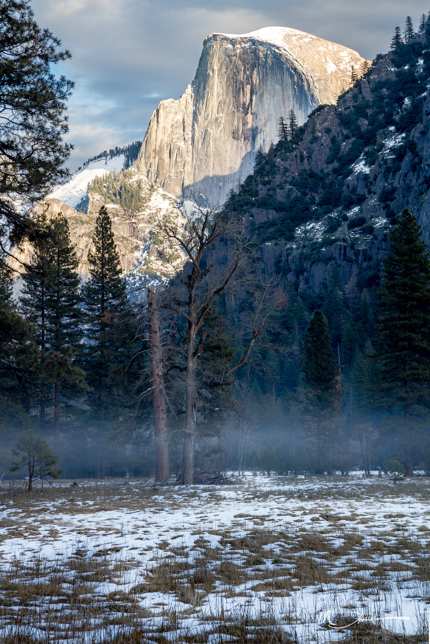 Canon EOS 5DS R + Sigma 24-105mm f/4 DG OS HSM | A sample photo. Fog on the floor photography