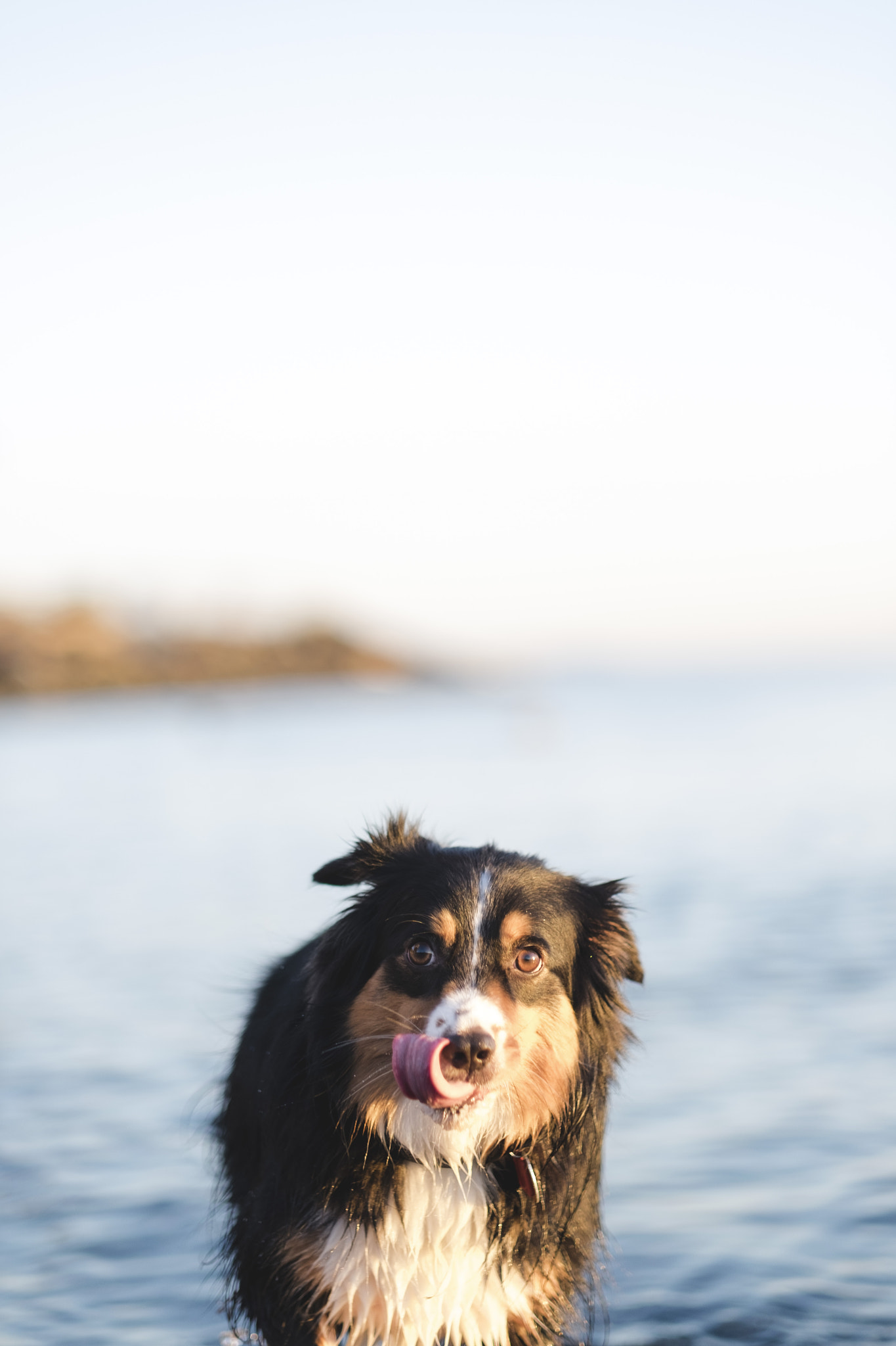 Fujifilm XF 56mm F1.2 R sample photo. Tongue out tuesday photography