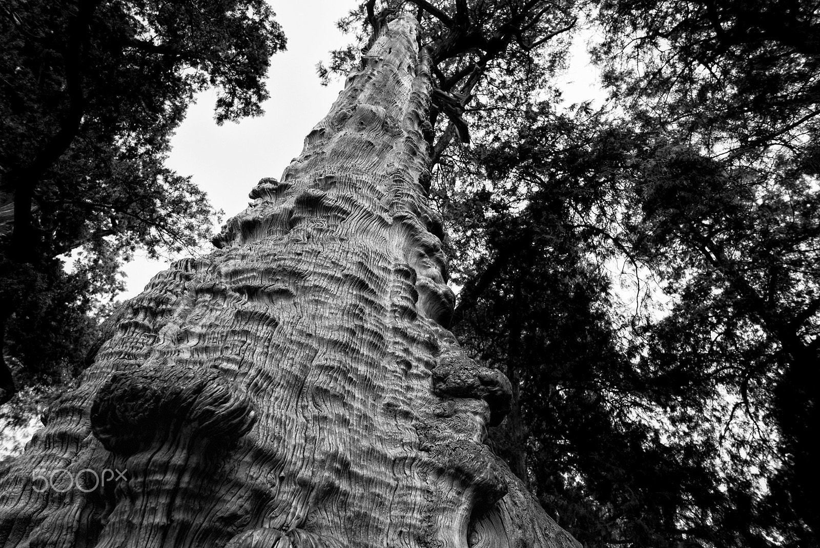 Leica M (Typ 240) + Leica Summilux-M 21mm F1.4 Asph sample photo. 编辑 photography