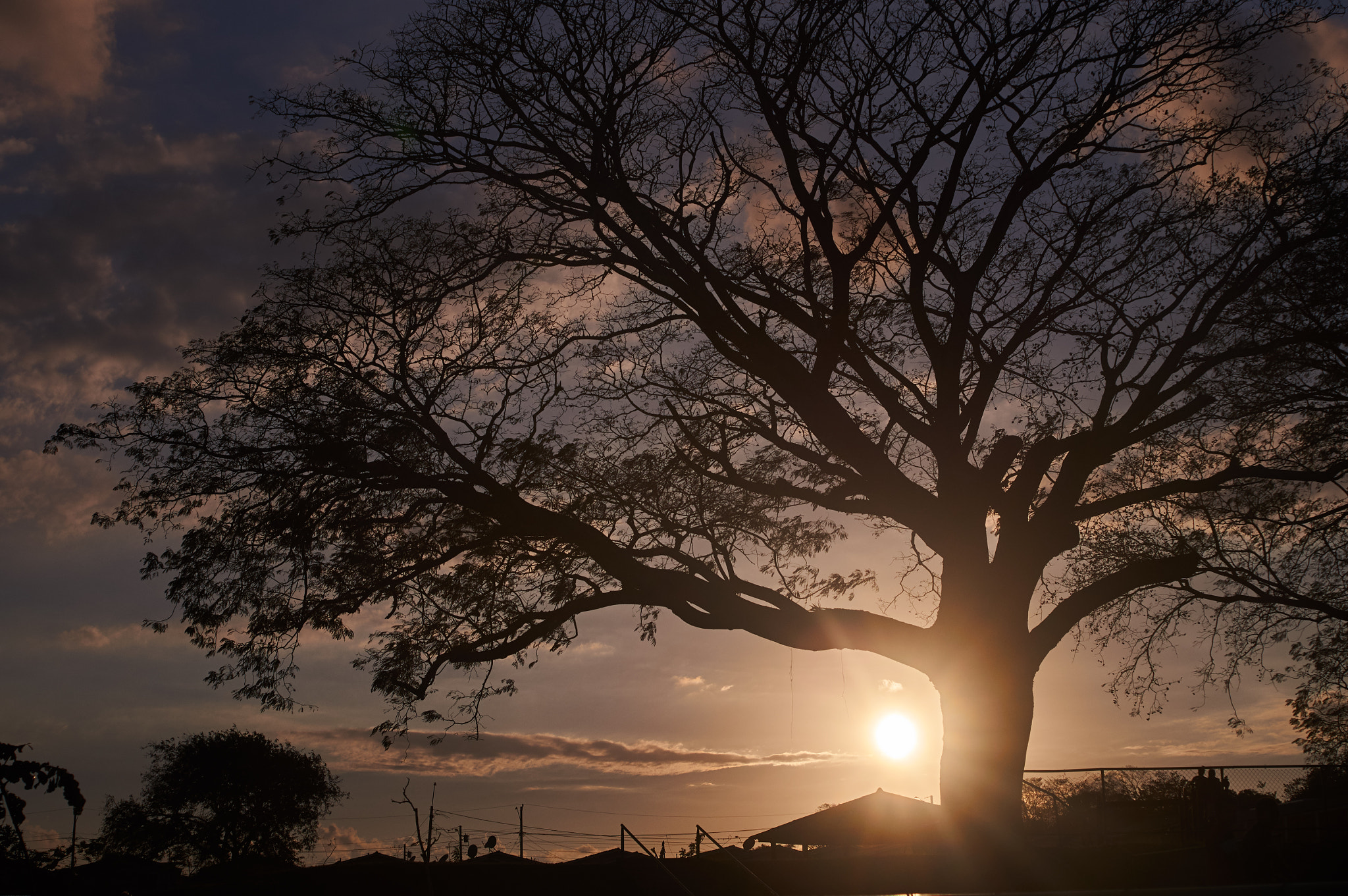 Sony SLT-A57 + 35-70mm F4 sample photo. Sun silhouette photography