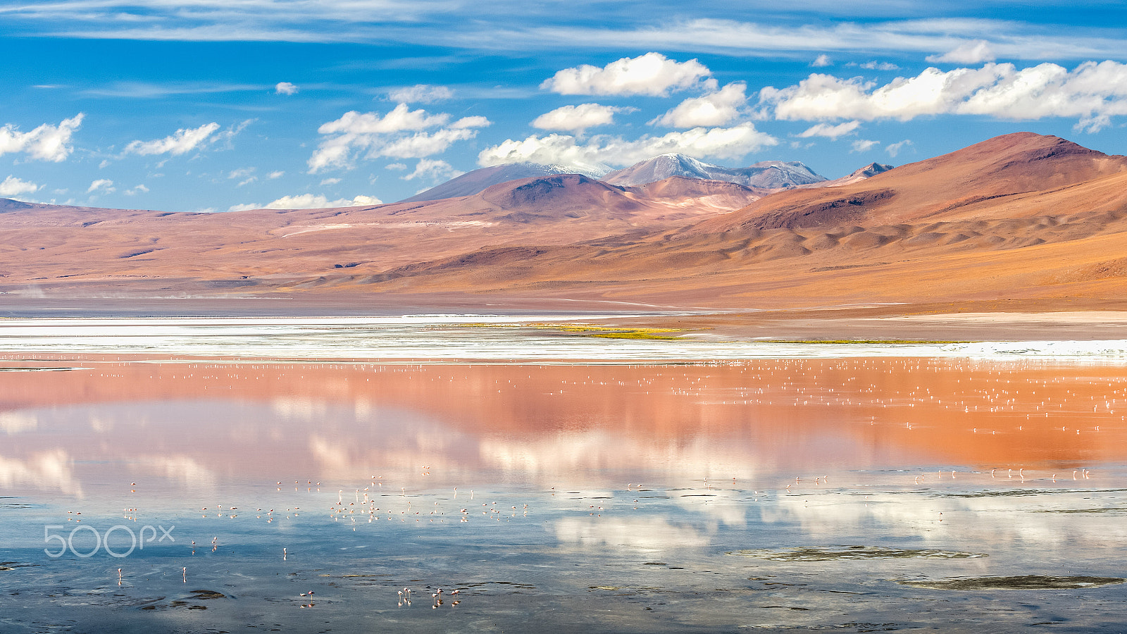 Nikon D4S sample photo. Laguna colorado photography