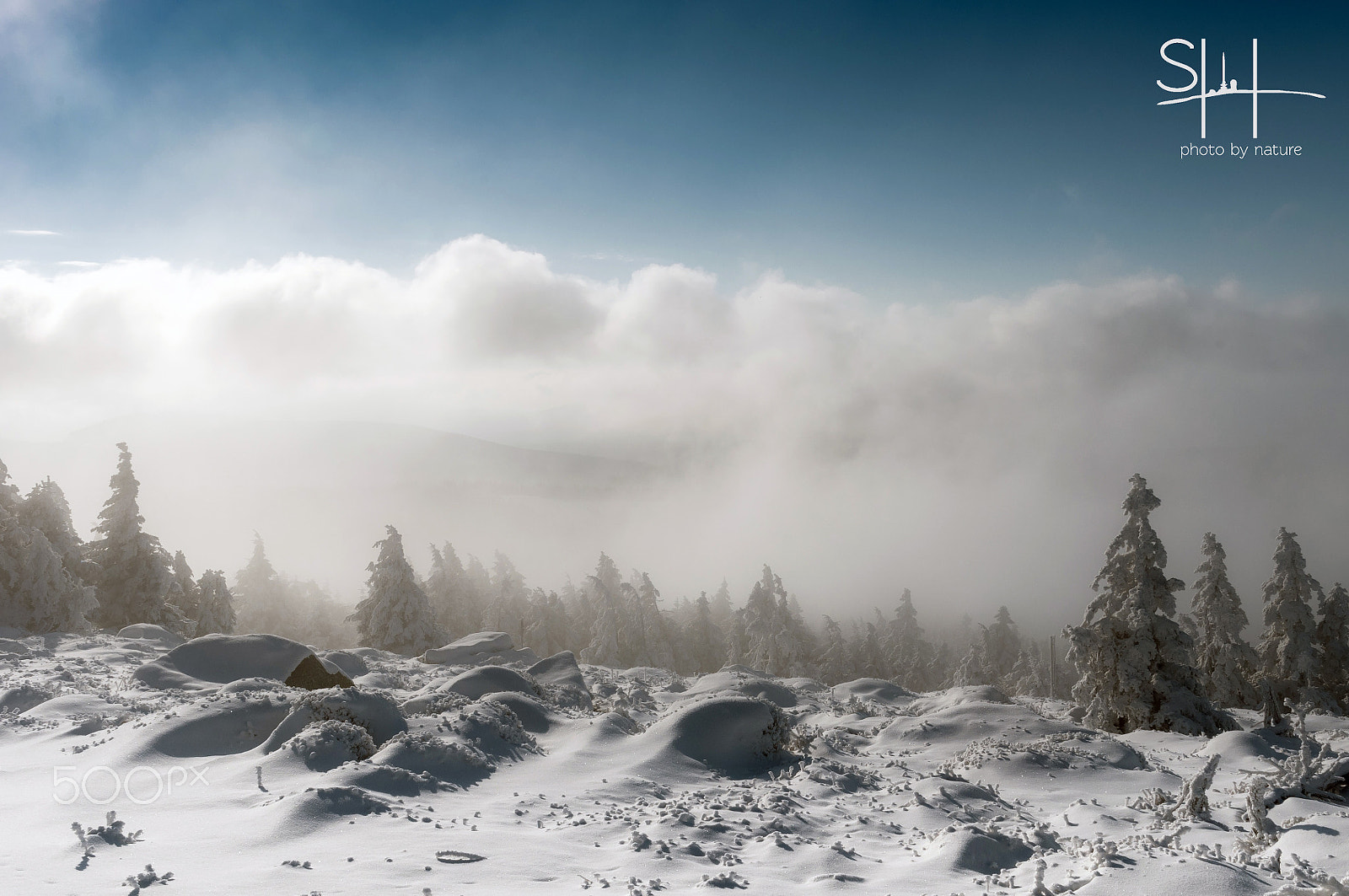 Sigma 18-50mm F2.8-4.5 DC OS HSM sample photo. Nebel photography