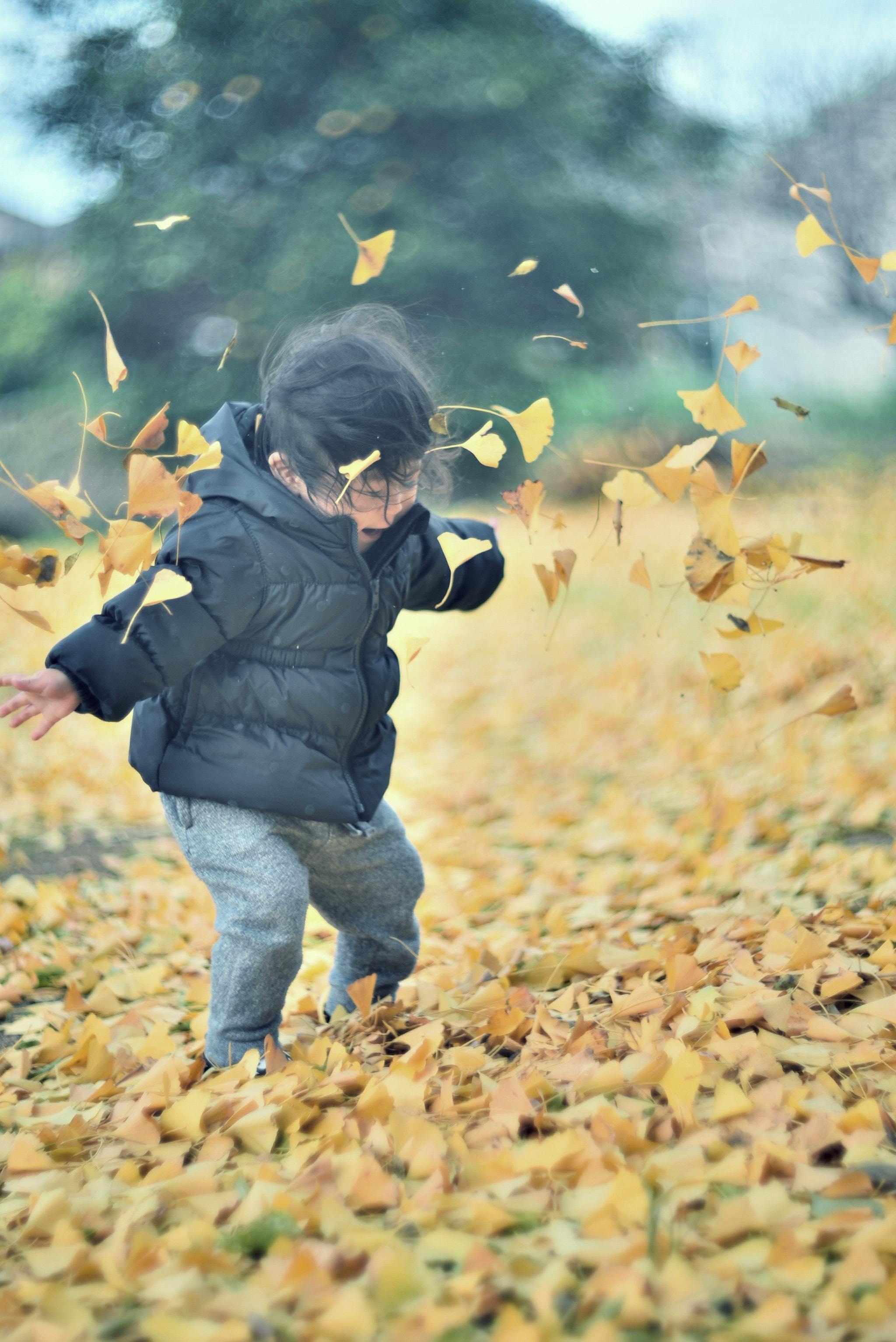 Manual Lens No CPU sample photo. You are a wizard photography