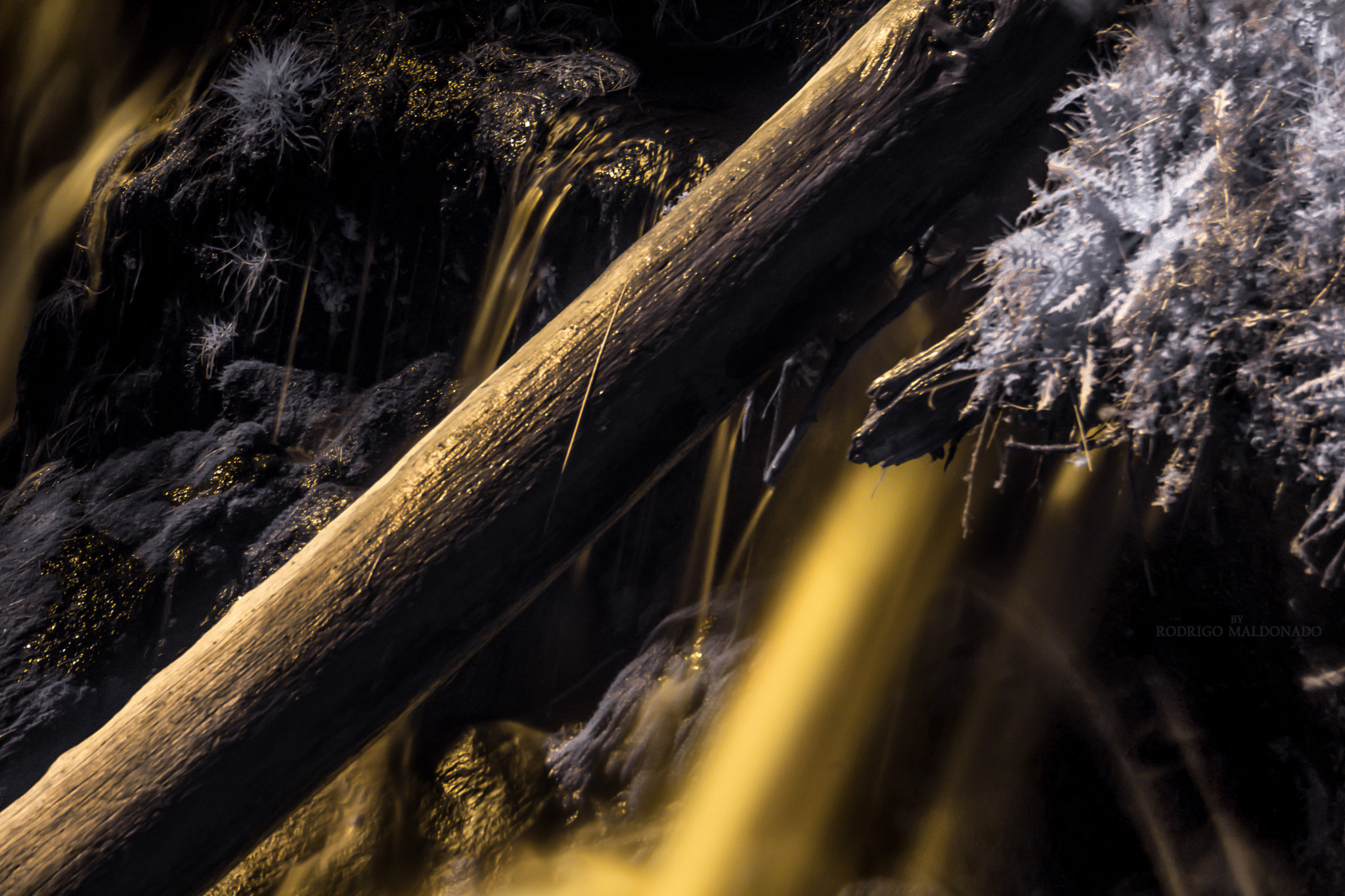 Nikon AF-S DX Micro-Nikkor 85mm F3.5G ED VR sample photo. Golden river (ifrared photography). photography