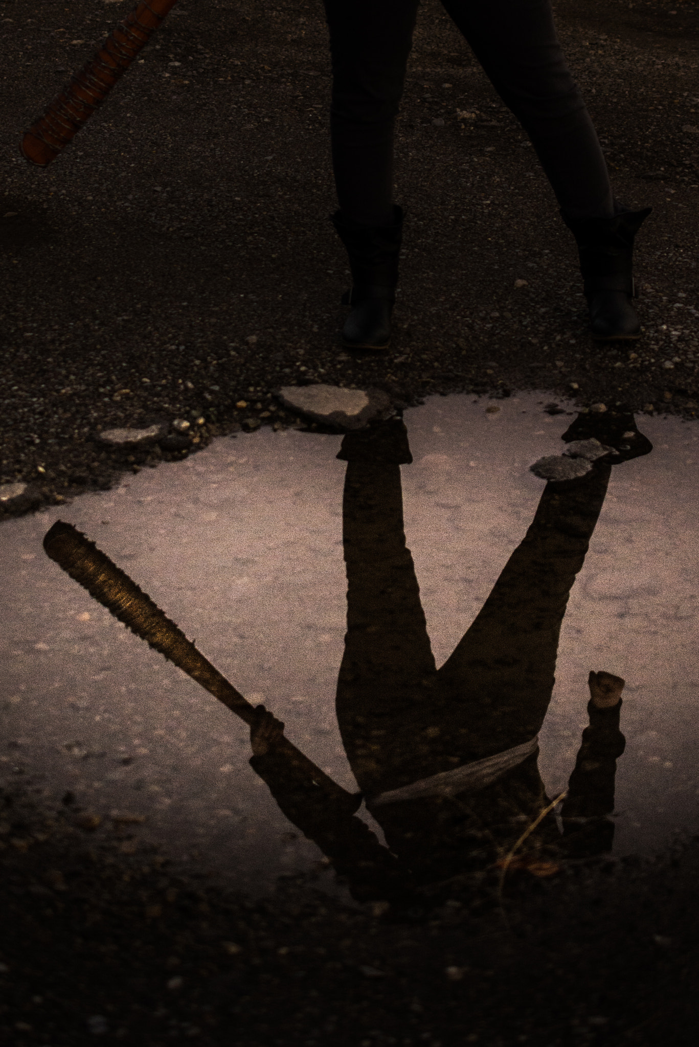 Nikon AF-S DX Micro Nikkor 40mm F2.8 sample photo. Reflections of negan photography