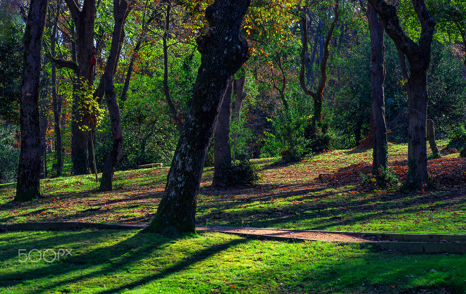 Pentax K-5 sample photo. Clean-natural oxygen photography