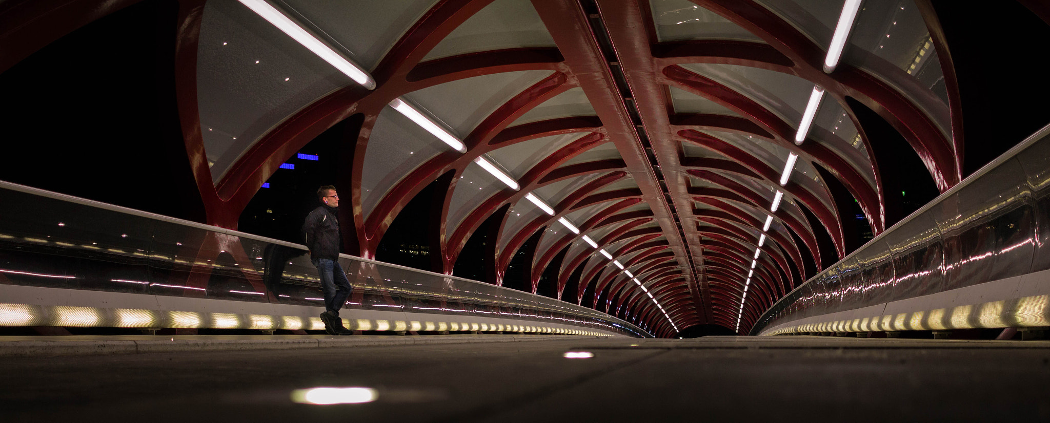 Canon EF-S 24mm F2.8 STM sample photo. Calgary peace bridge photography