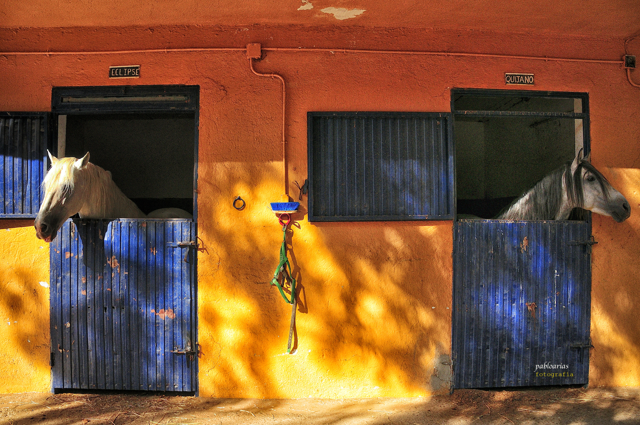 Nikon D300 sample photo. Eclipse y quijano photography