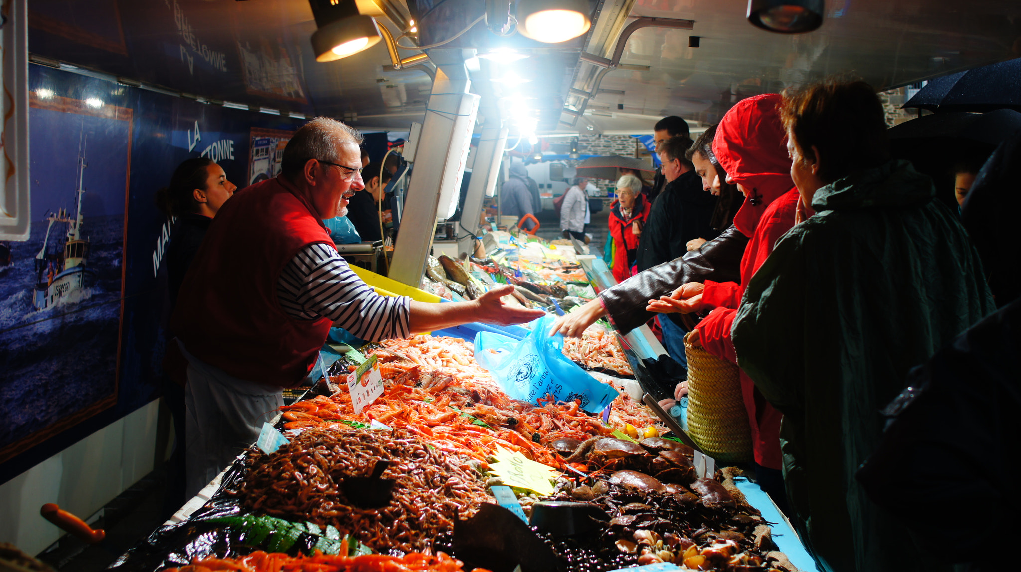 Sony SLT-A35 + Sony 28mm F2.8 sample photo. French fish market photography