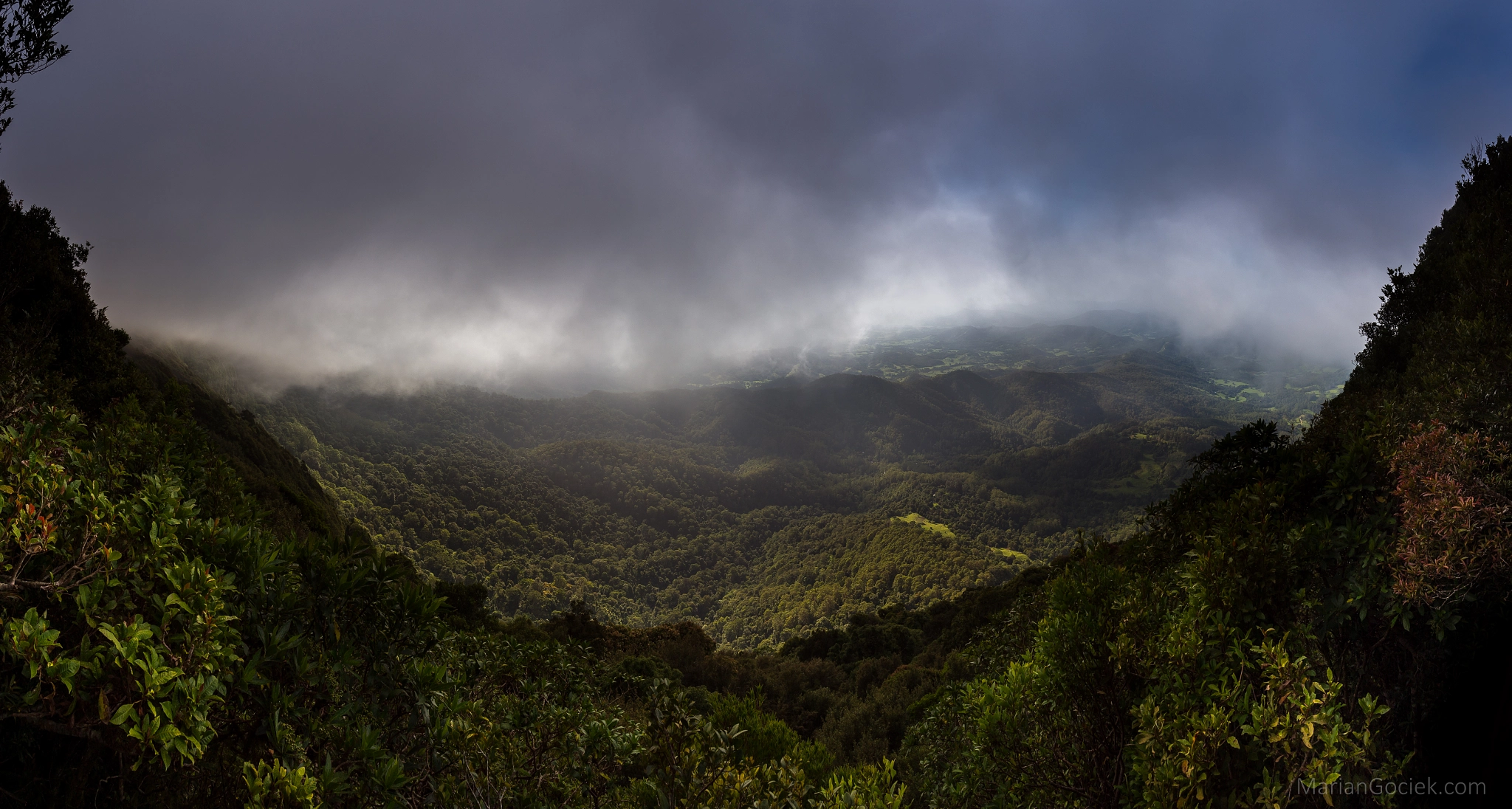 Nikon D610 + Nikon AF-S Nikkor 20mm F1.8G ED sample photo. Numinbah np photography