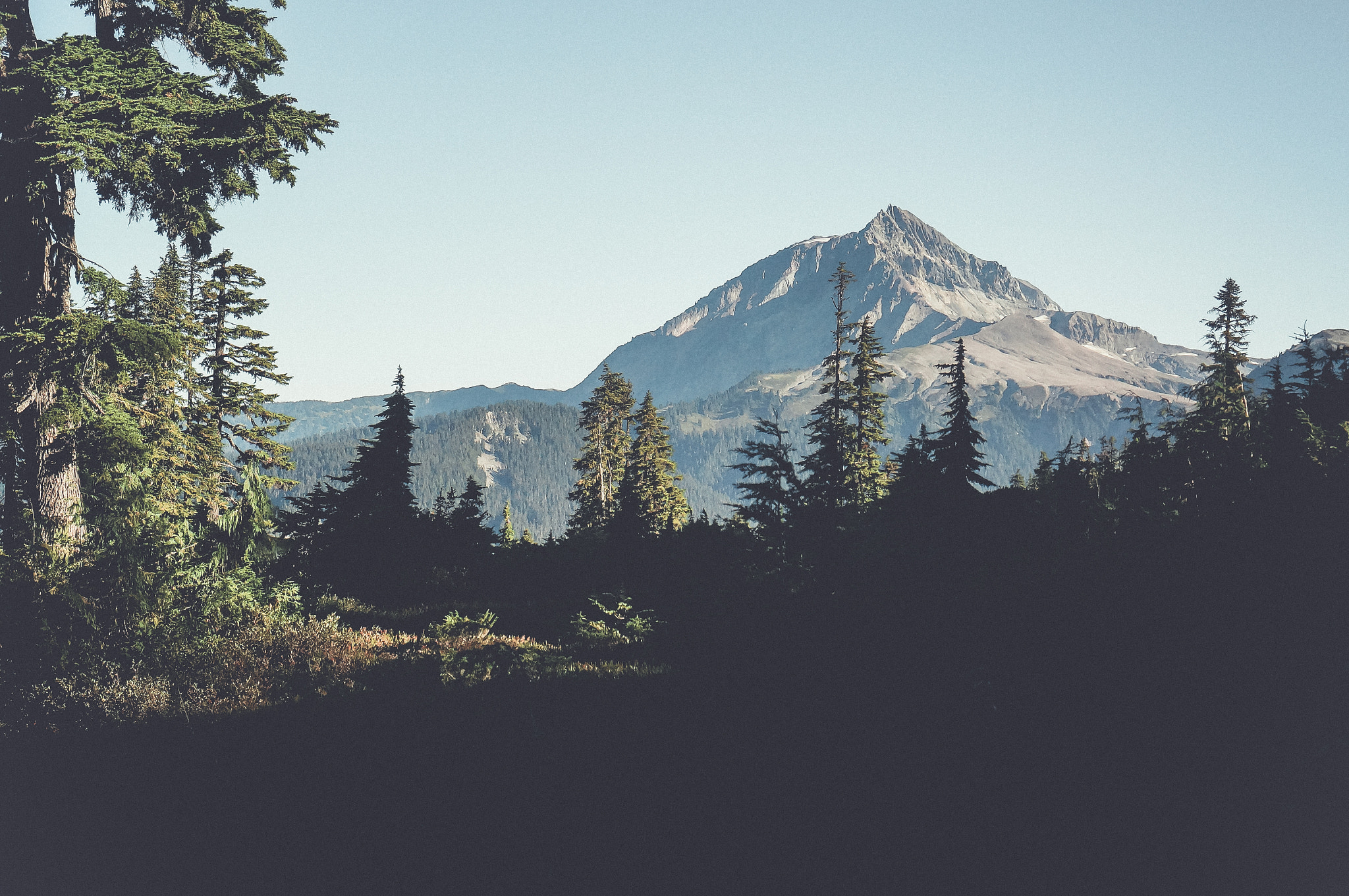 Sony Alpha NEX-6 + Sony E 35mm F1.8 OSS sample photo. Garibaldi provincial park photography
