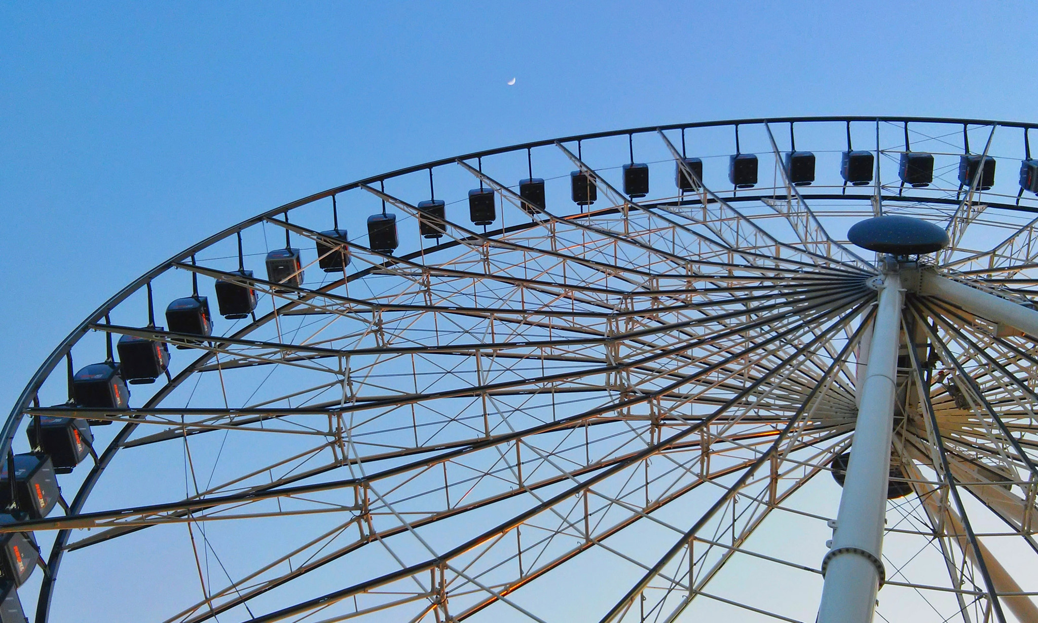 LG L70 sample photo. Luna photography