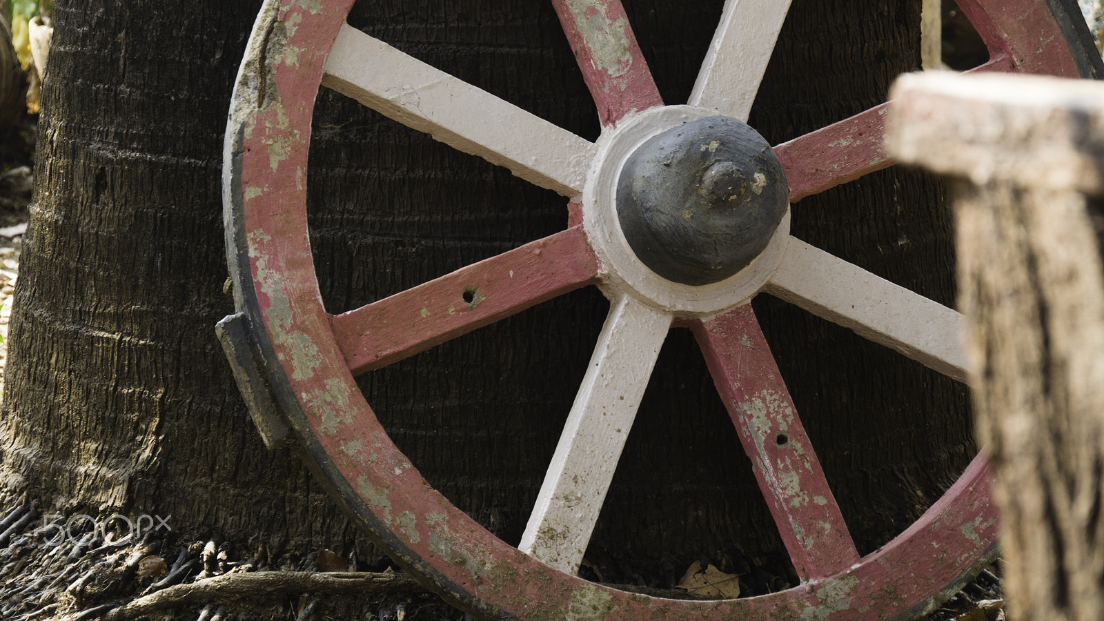 Panasonic Lumix DMC-GH4 sample photo. Rural wheels of india photography