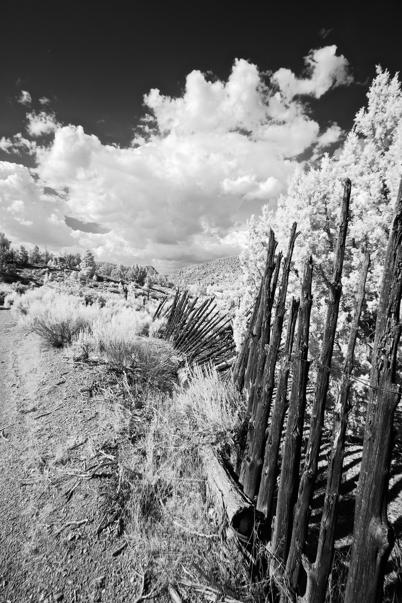 Canon EF-S 10-22mm F3.5-4.5 USM sample photo. Old corral photography