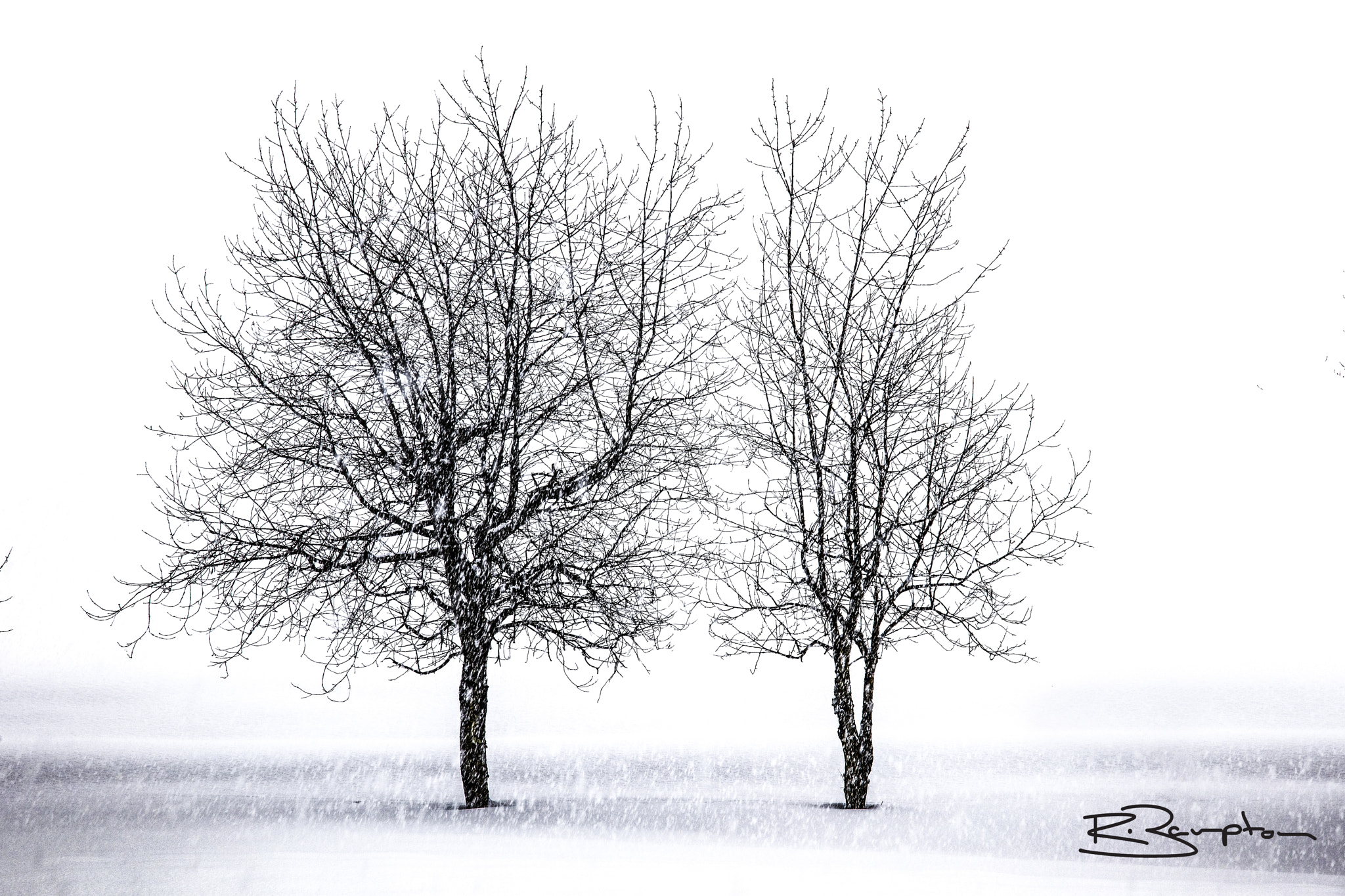 Canon EOS 5DS R sample photo. White shadows photography