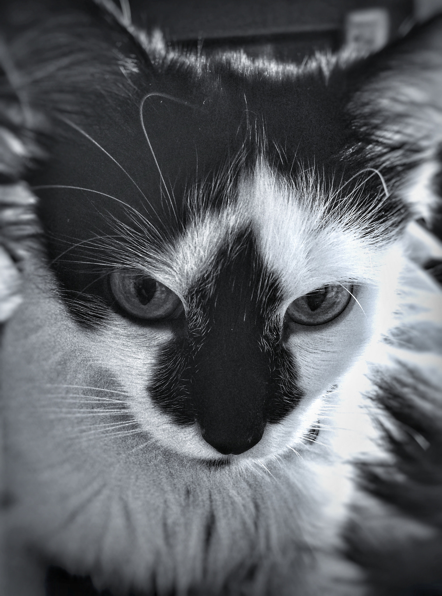 Meizu M3s sample photo. (´ε｀ )♡ photography
