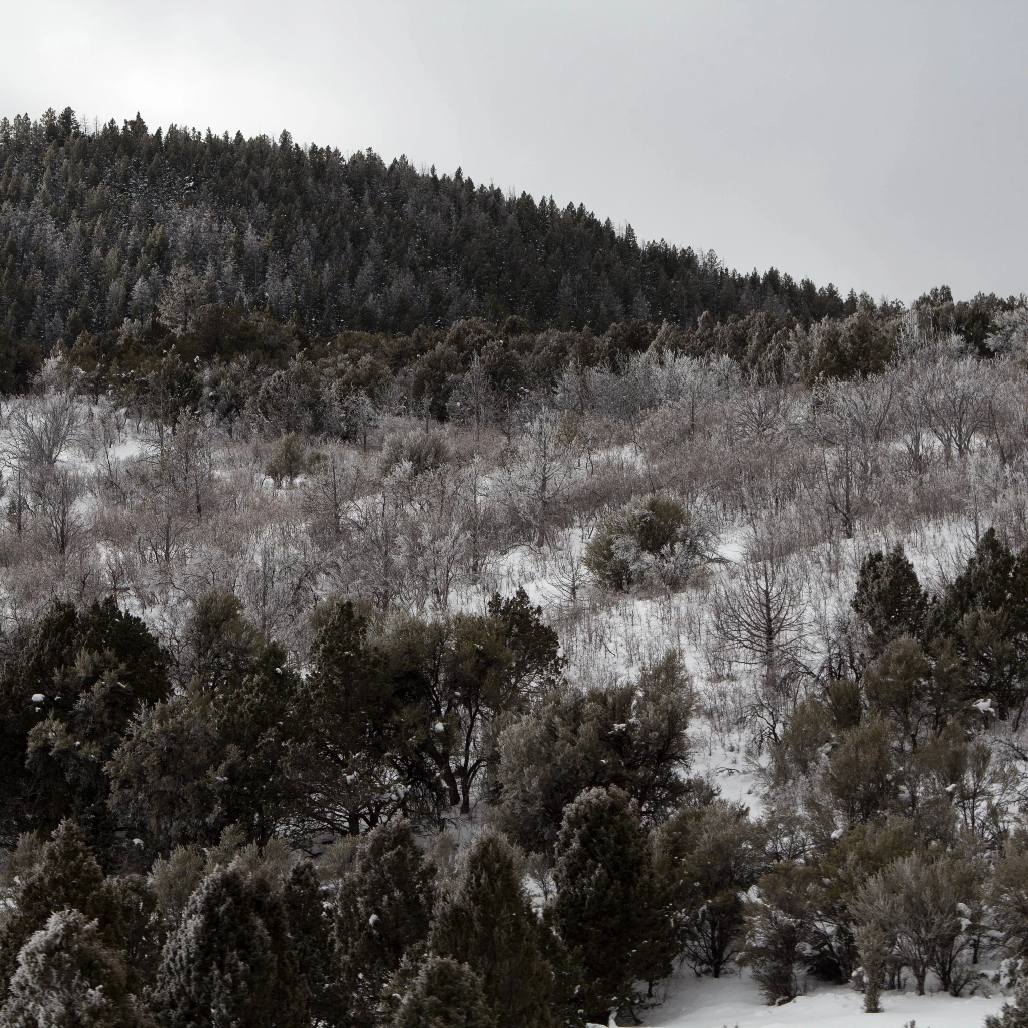 Canon EOS 600D (Rebel EOS T3i / EOS Kiss X5) sample photo. Naturally monochrome photography