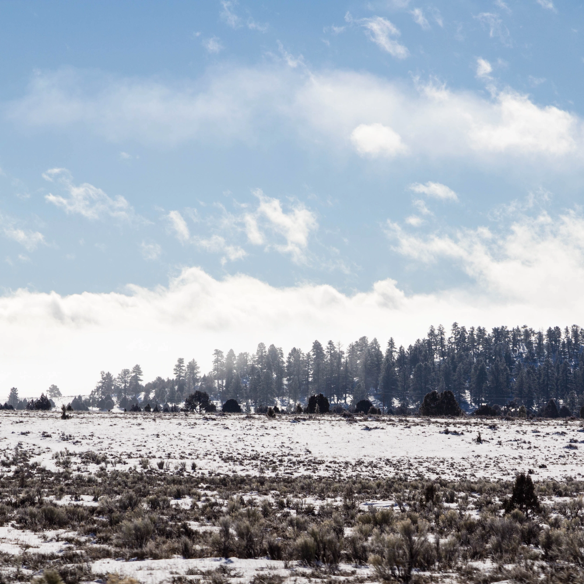 Canon EOS 600D (Rebel EOS T3i / EOS Kiss X5) sample photo. The snowstorm's final bow photography