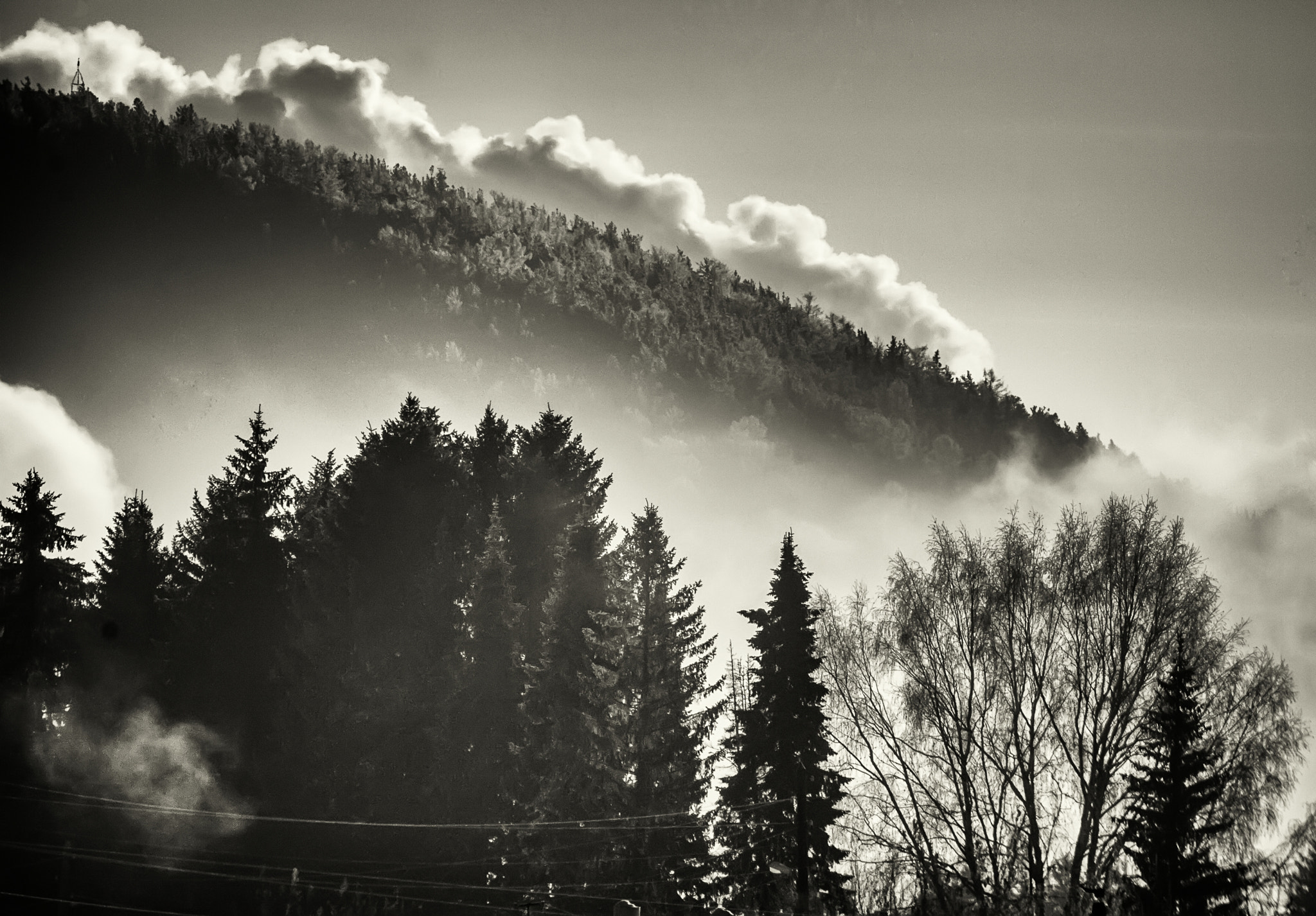 Canon EOS 450D (EOS Rebel XSi / EOS Kiss X2) sample photo. Bw morning photography